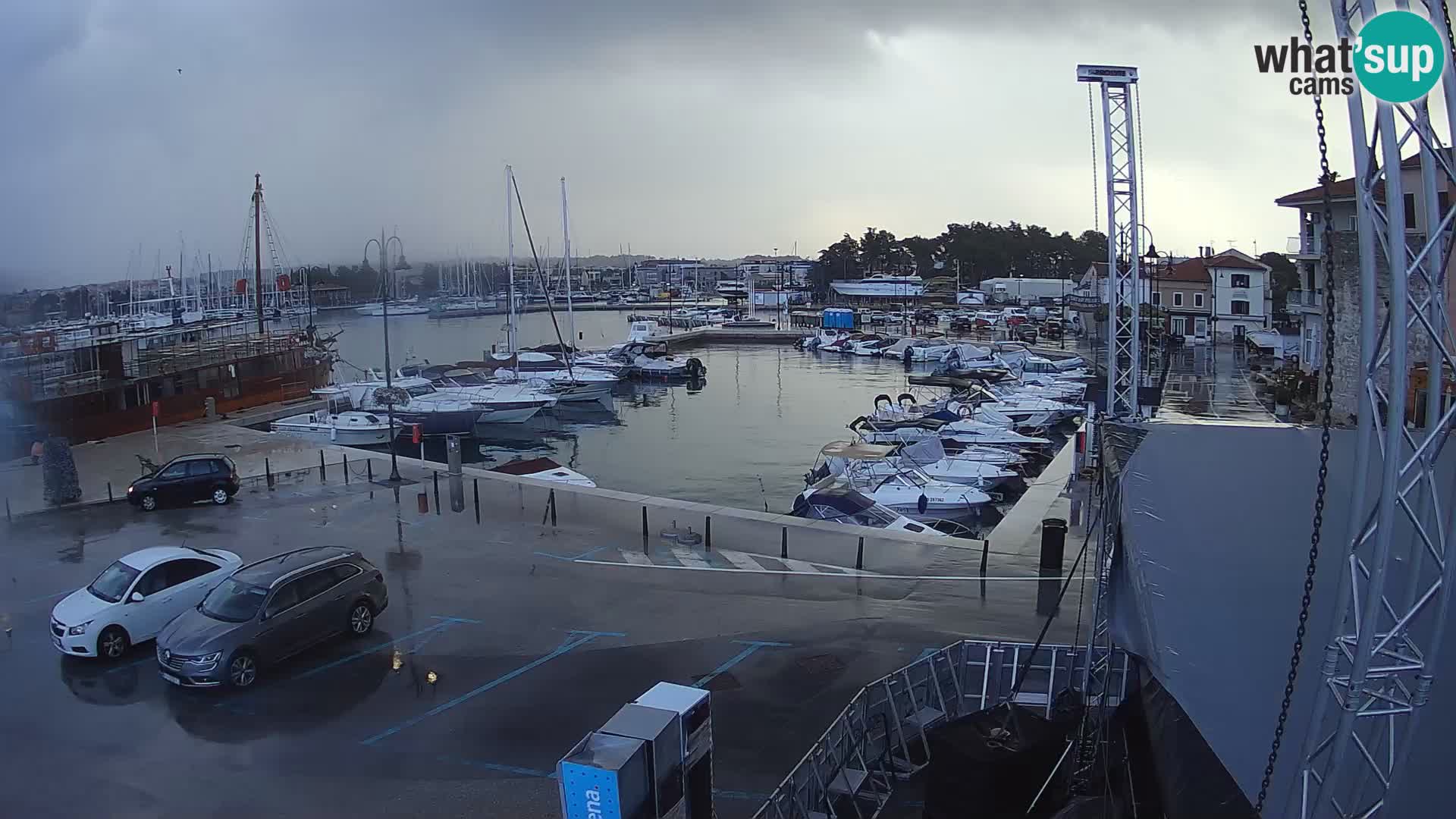 Novigrad | Porporela marina