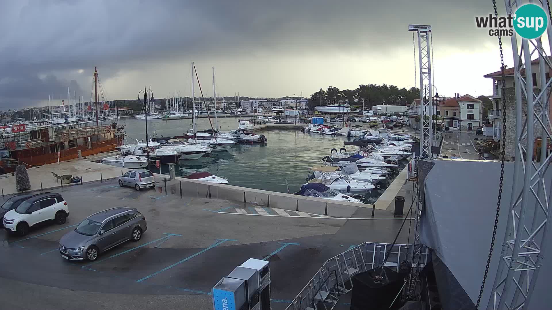 Novigrad | Porporela marina