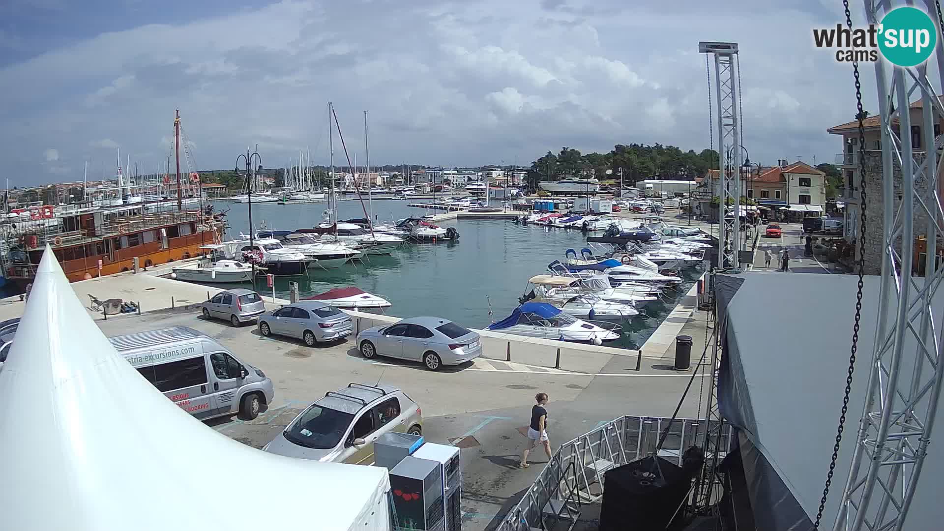 Novigrad | Porporela marina