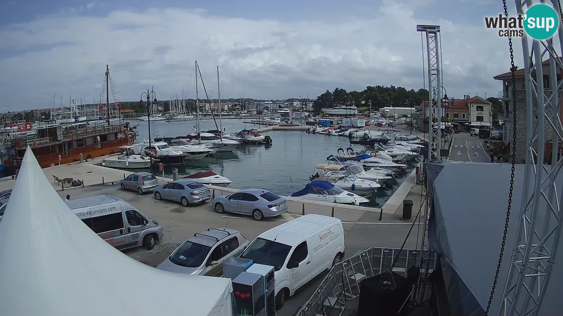 Novigrad | Porporela marina