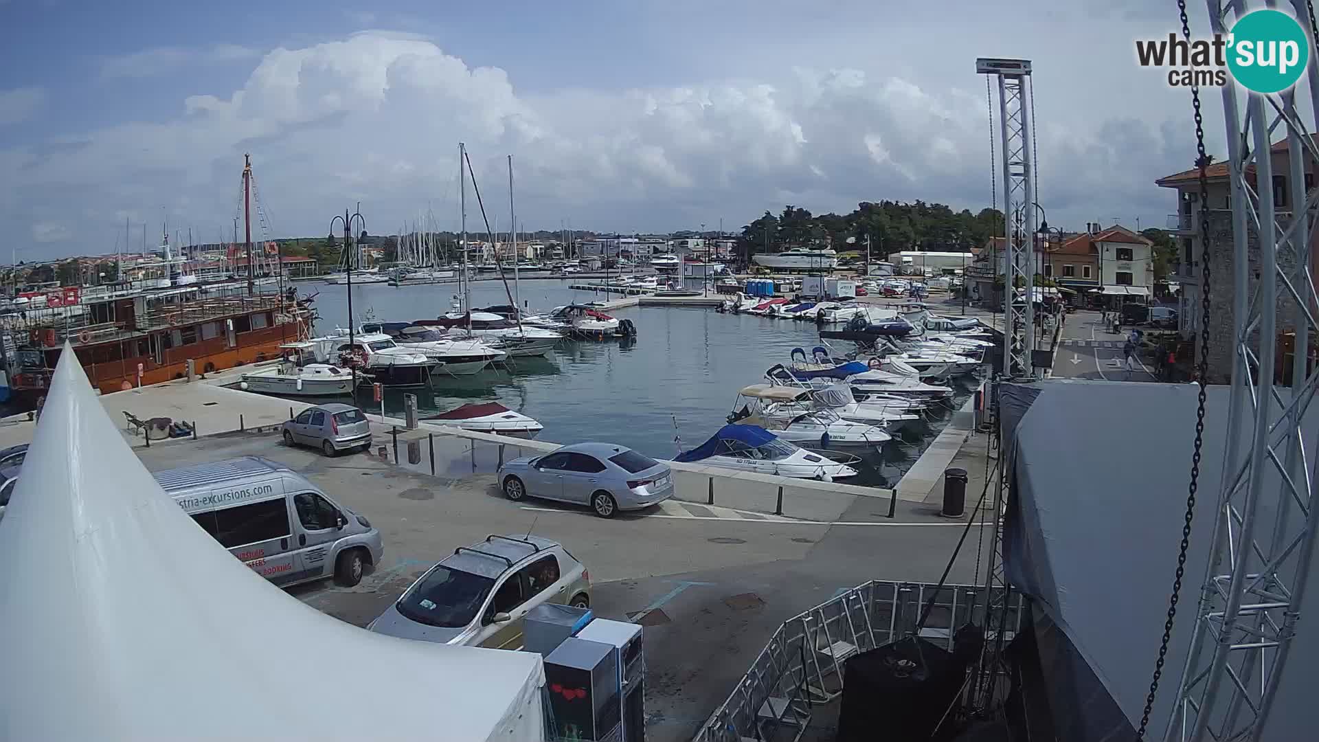 Novigrad | Porporela marina