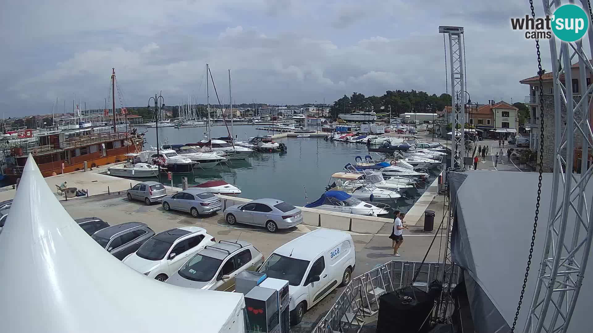 Novigrad | Porporela marina