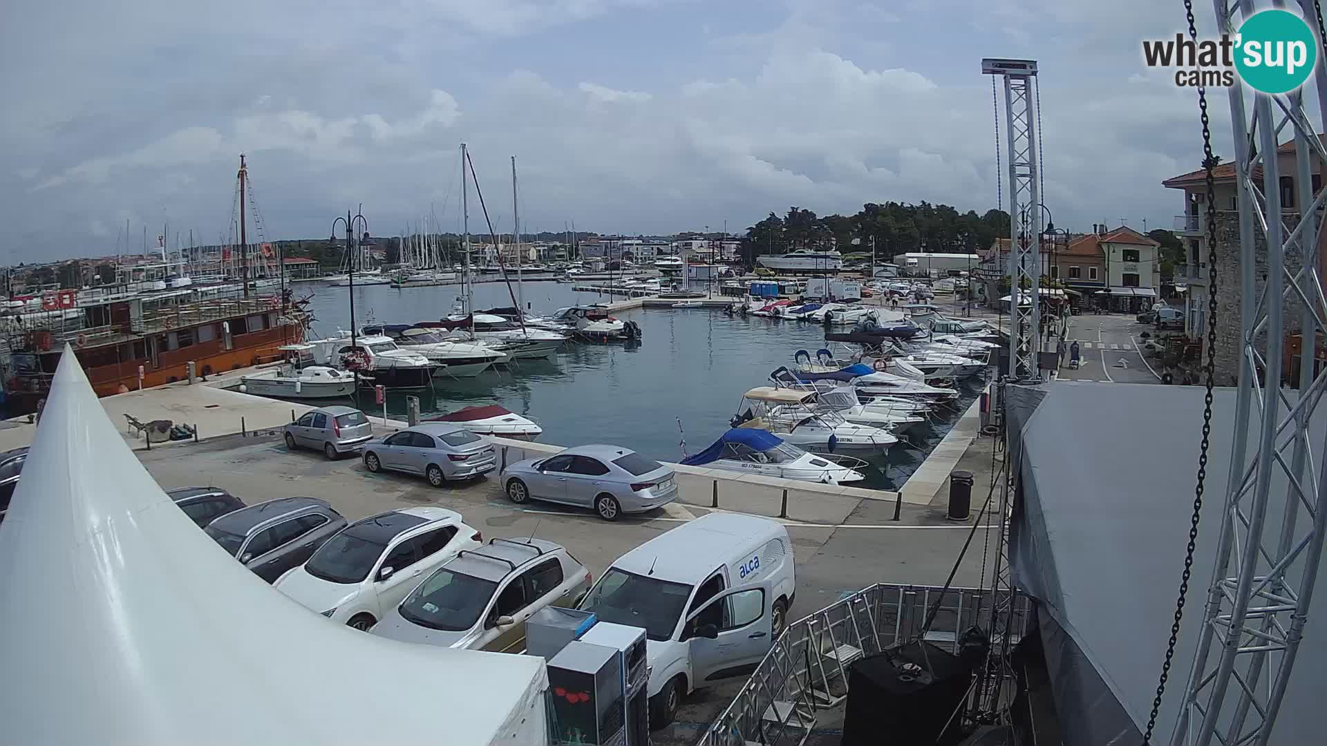 Novigrad | Porporela marina