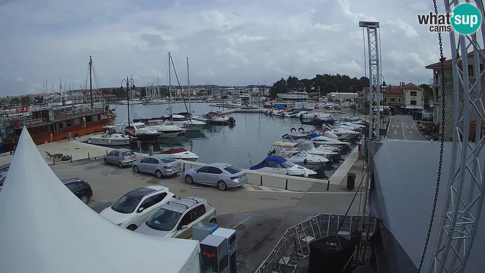 Novigrad | Porporela marina
