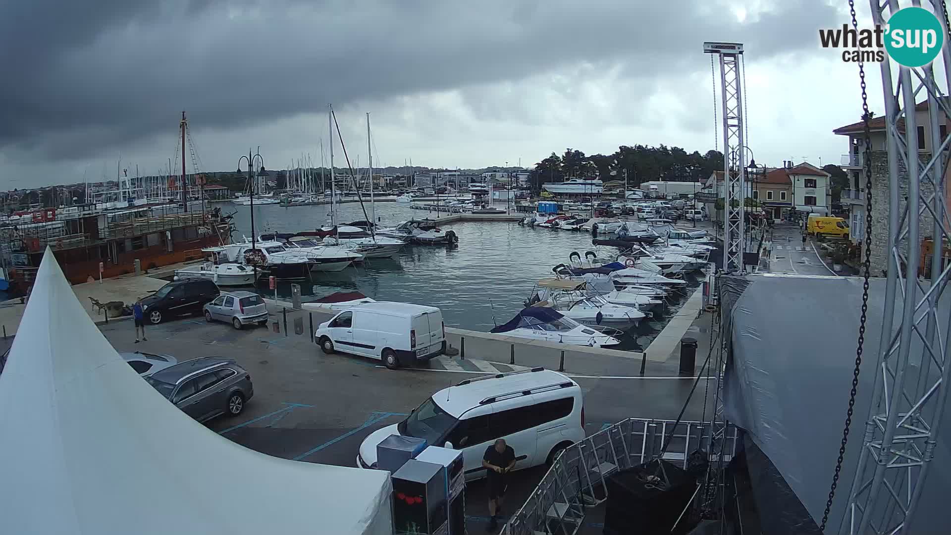 Novigrad | Porporela marina