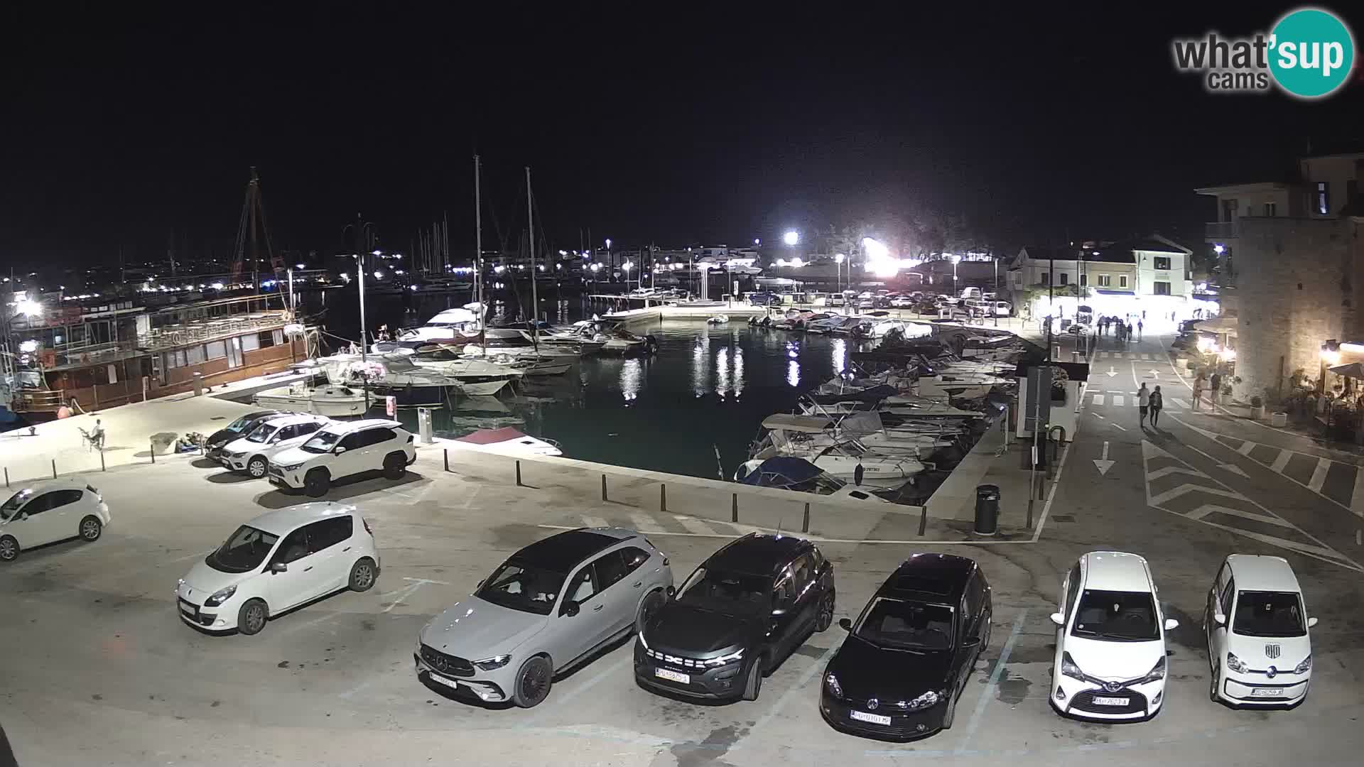 Novigrad | Porporela marina