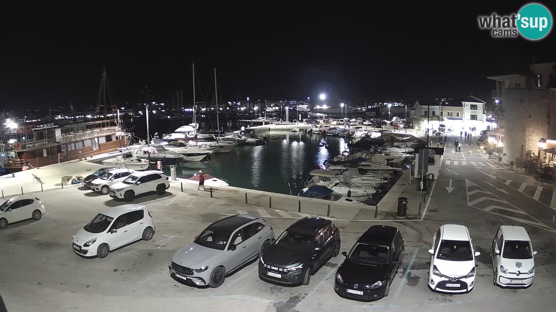 Novigrad | Porporela marina