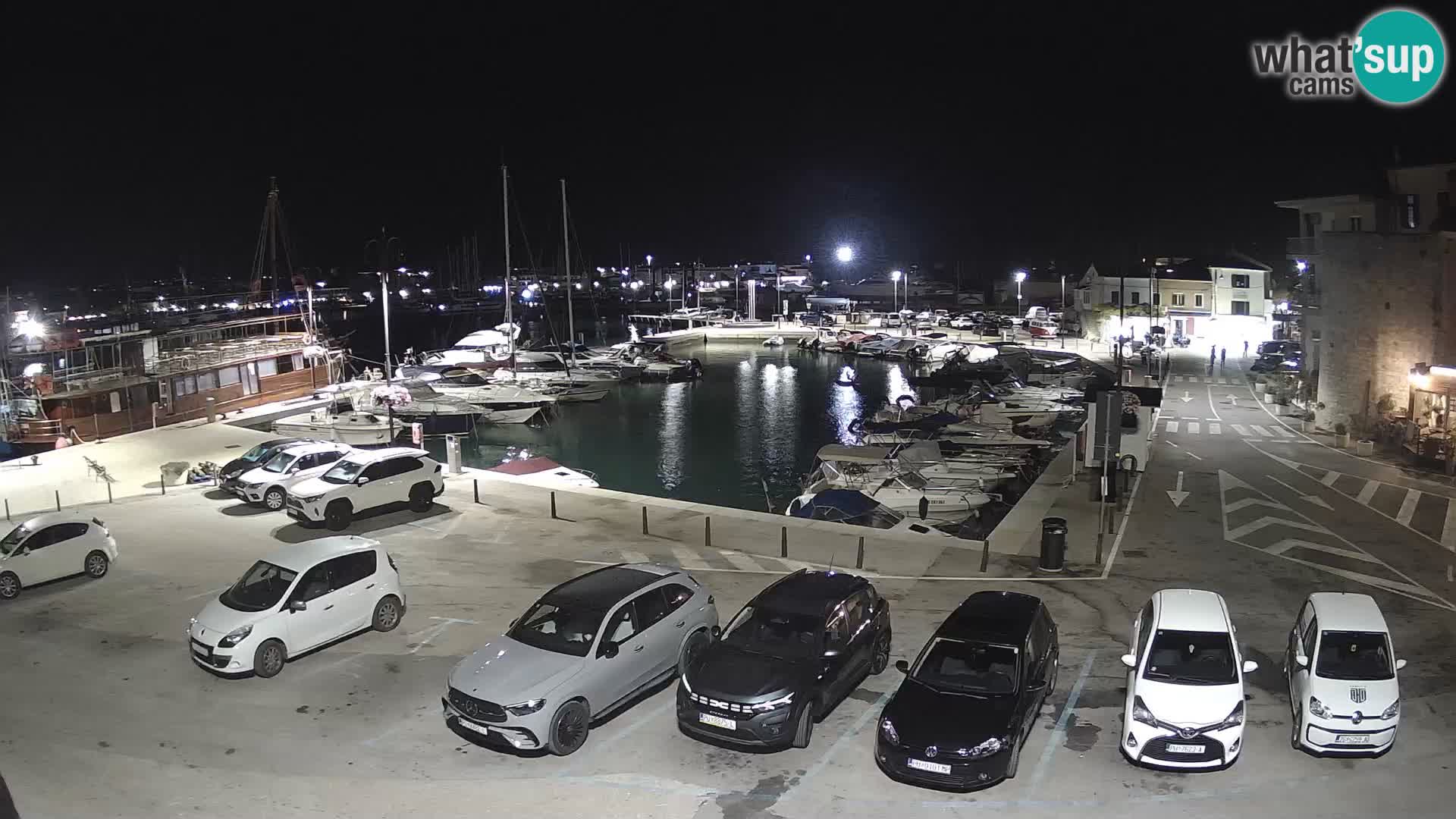 Novigrad | Porporela marina