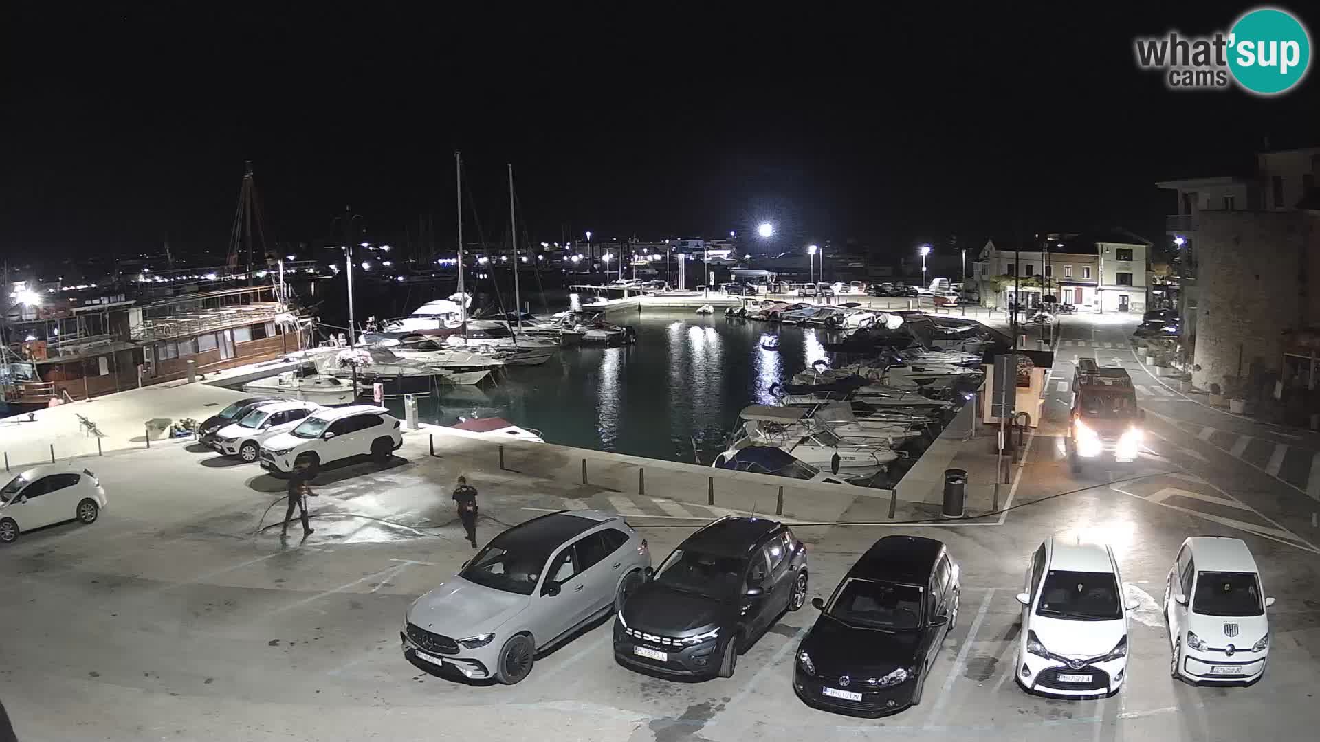 Novigrad | Porporela marina