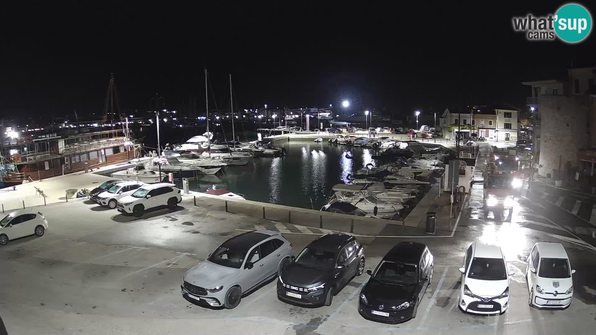 Novigrad | Porporela marina