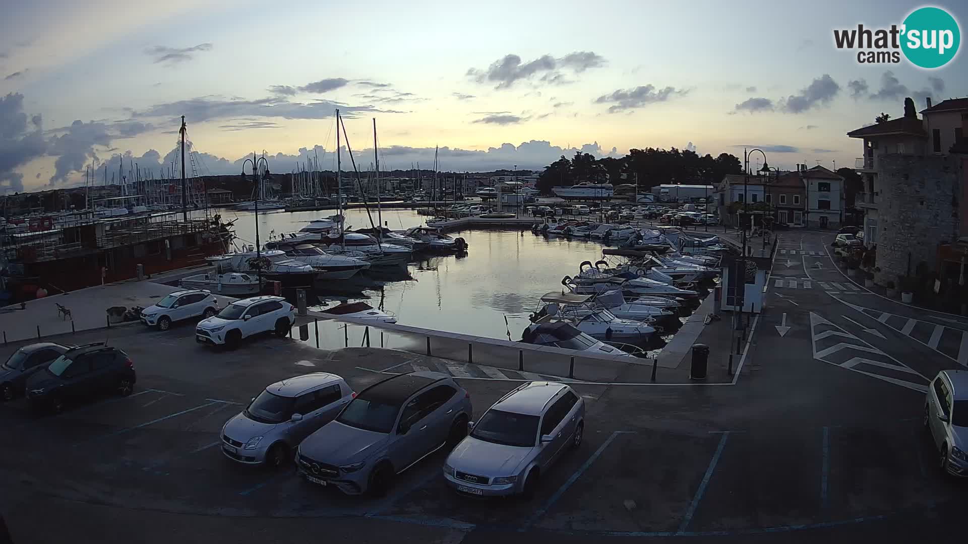 Novigrad | Porporela marina
