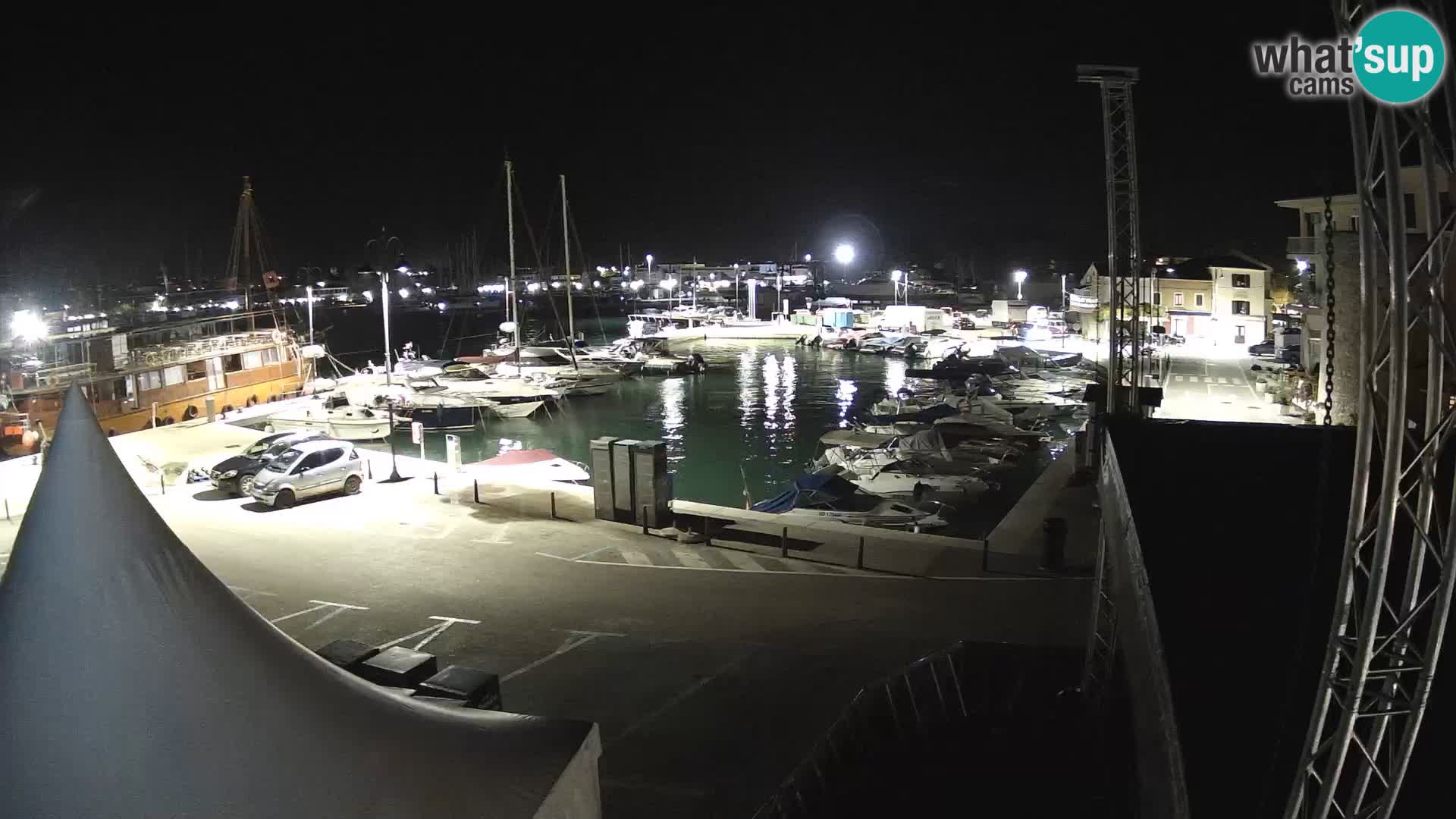 Novigrad | Porporela marina