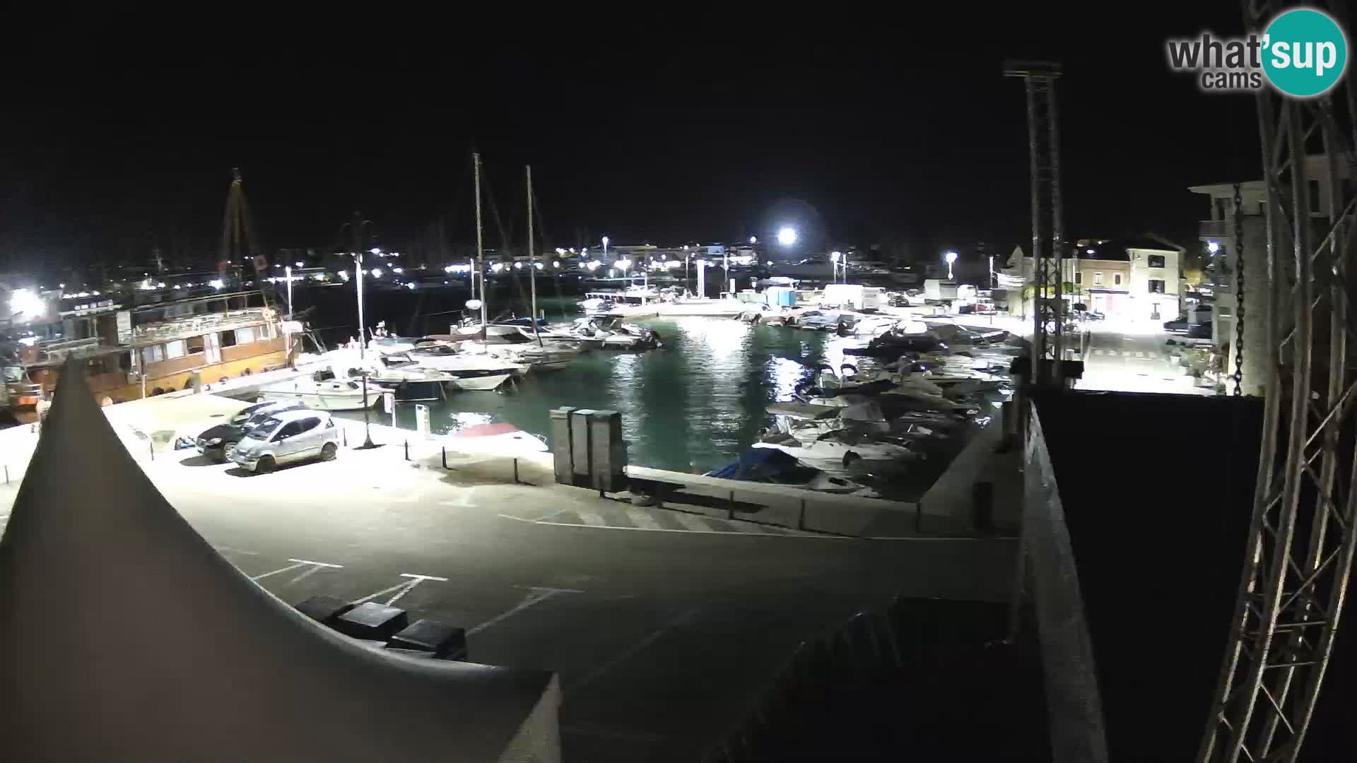 Novigrad | Porporela marina