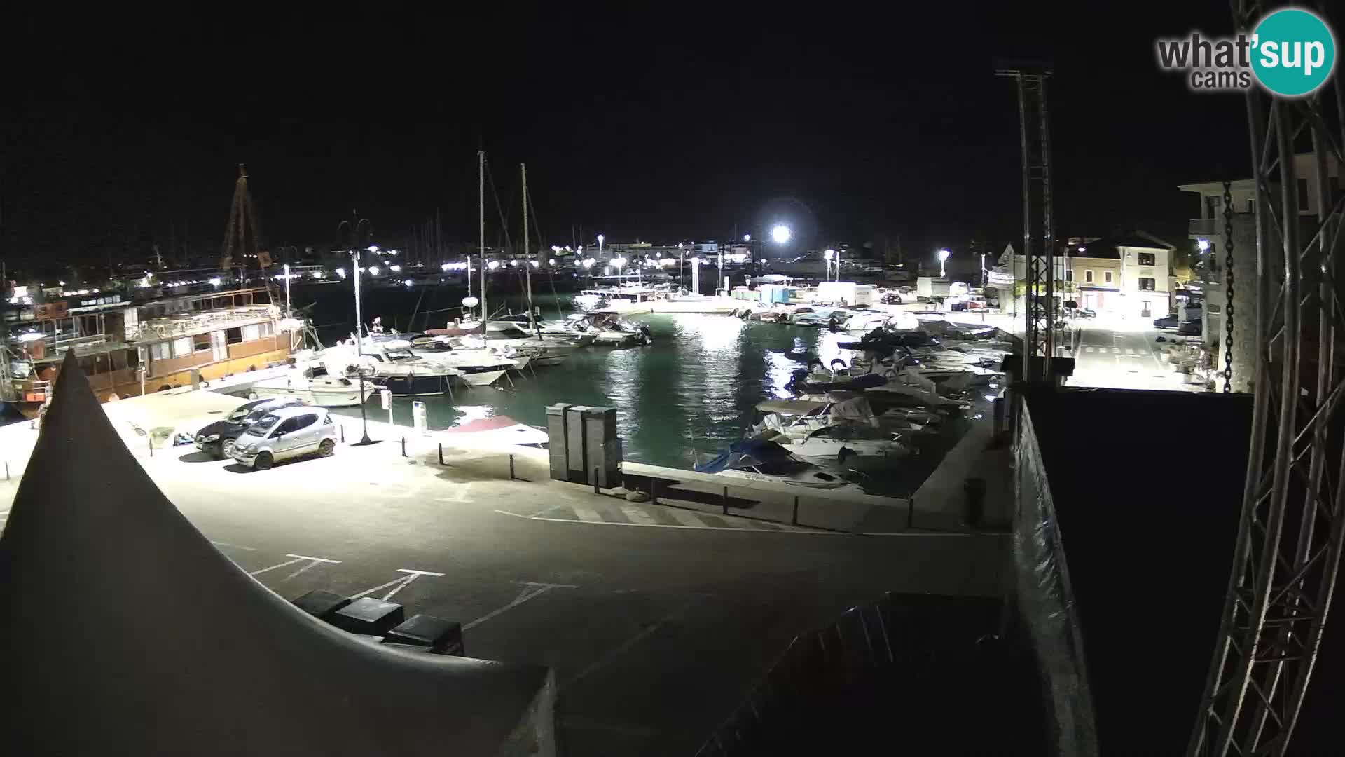 Novigrad | Porporela marina