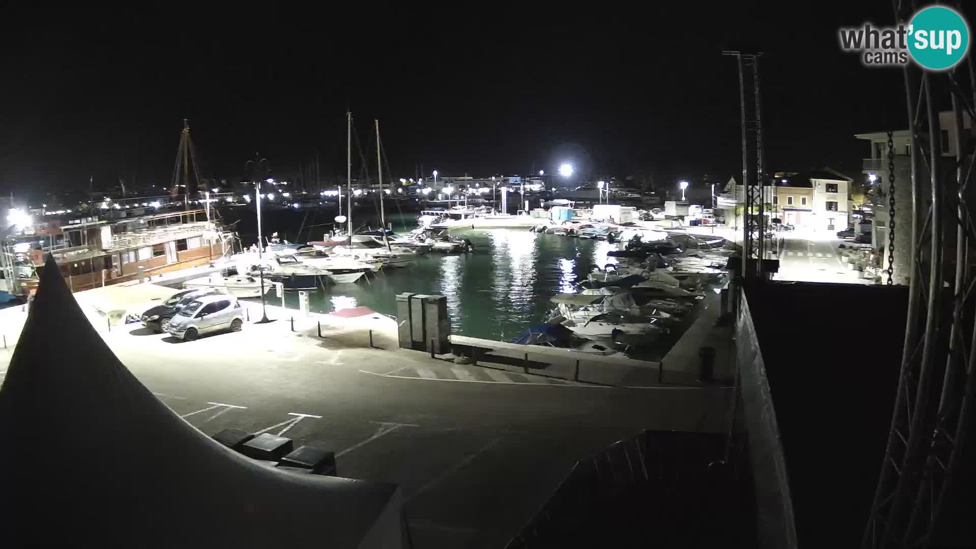 Novigrad | Porporela marina