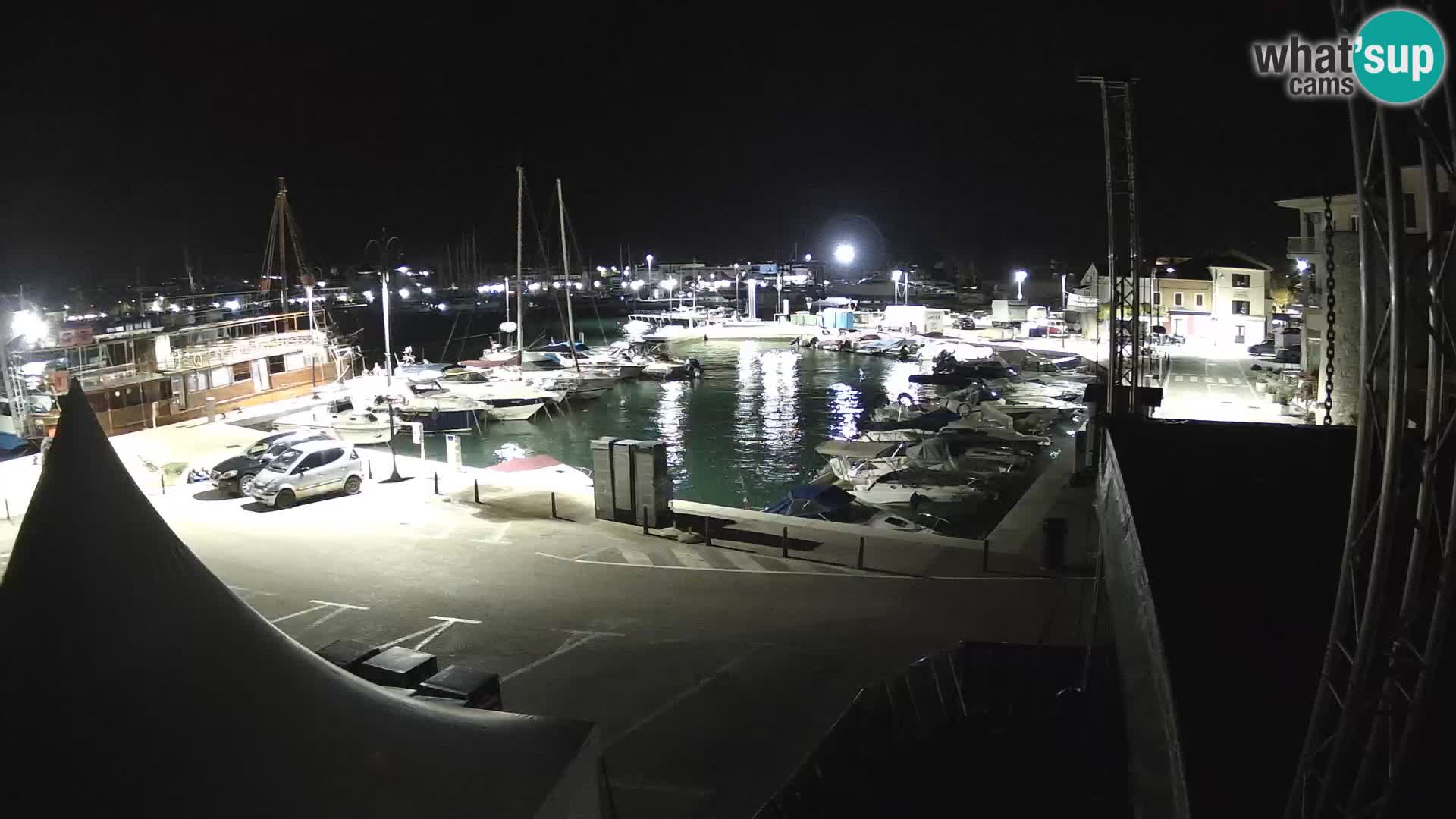 Novigrad | Porporela marina