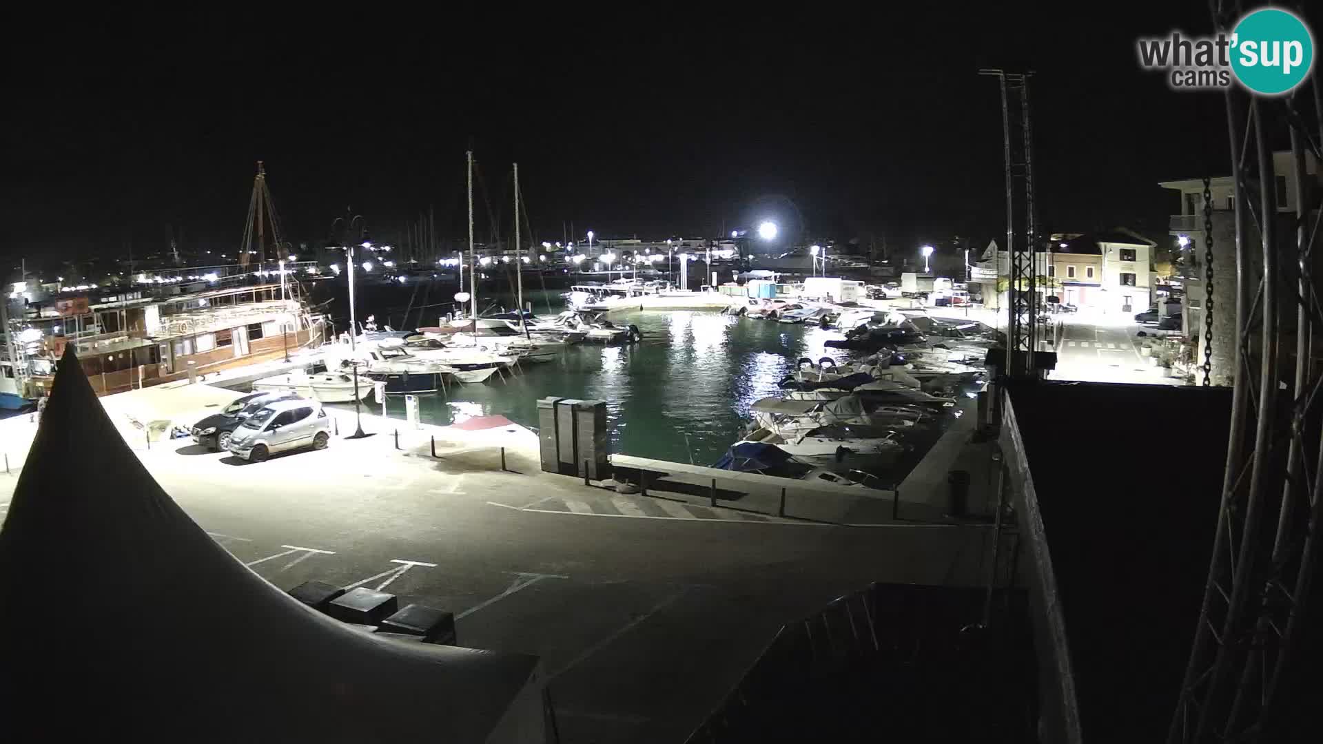 Novigrad | Porporela marina