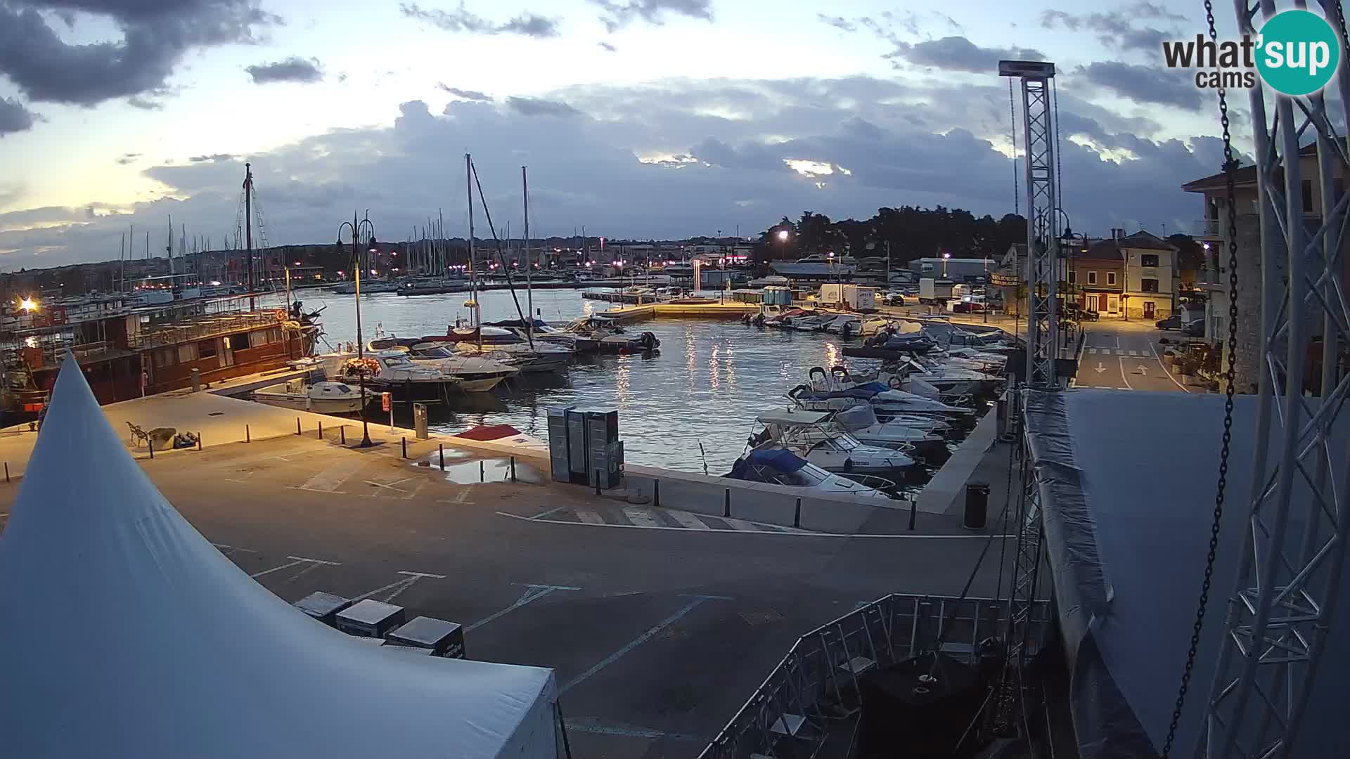 Novigrad | Porporela marina