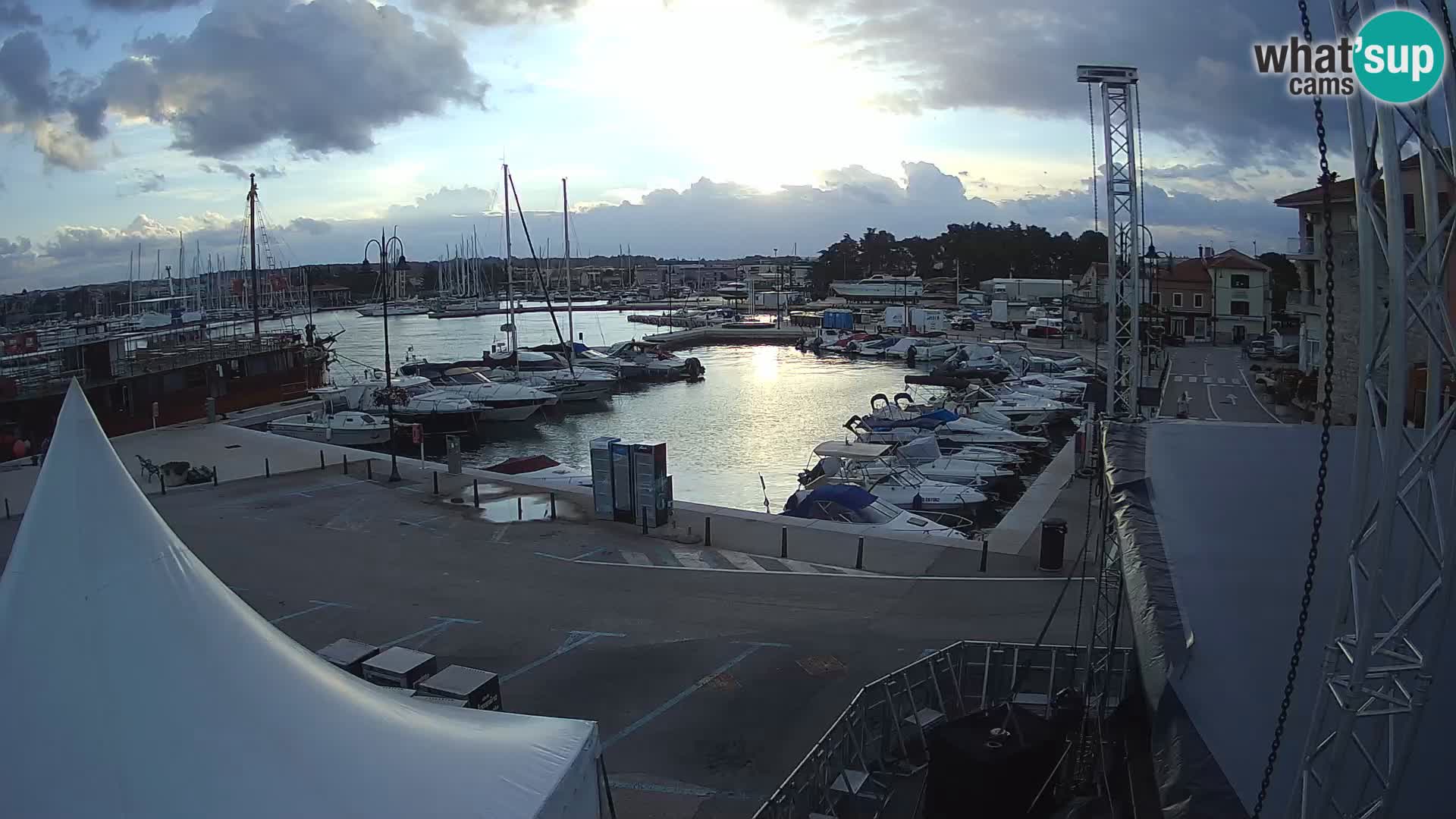 Novigrad | Porporela marina