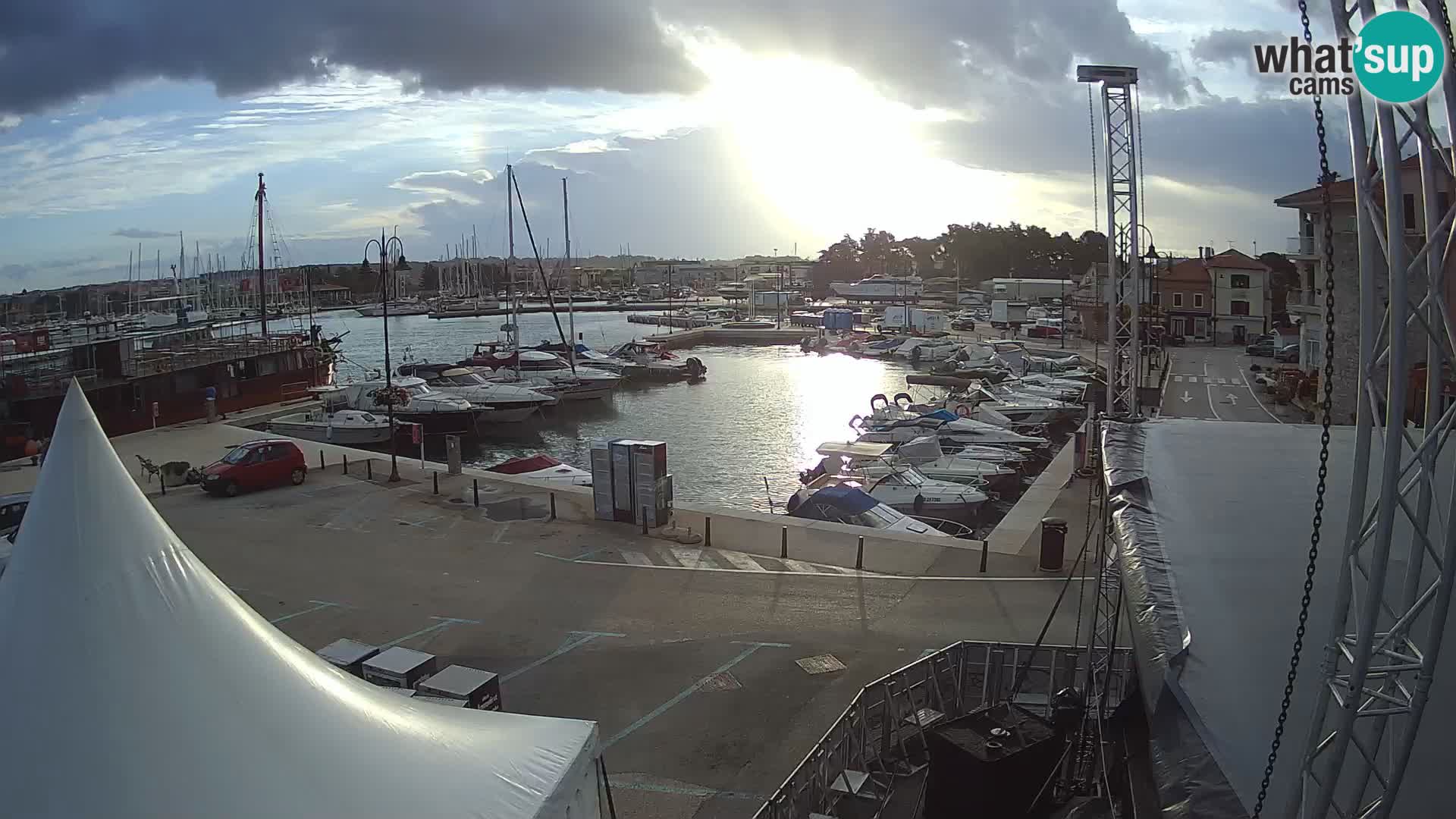 Novigrad | Porporela marina