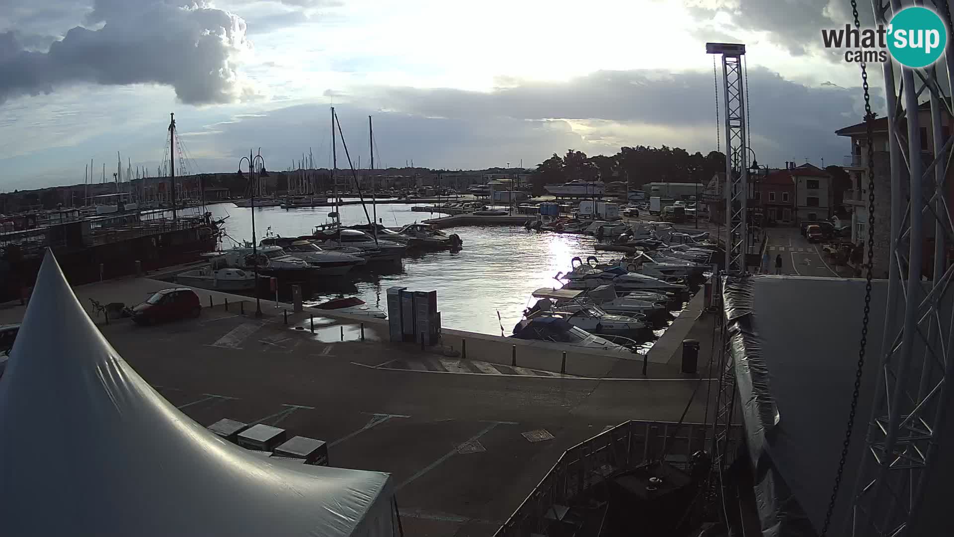 Novigrad | Porporela marina