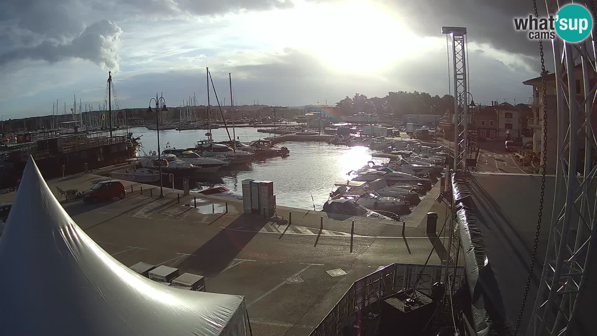 Novigrad | Porporela marina