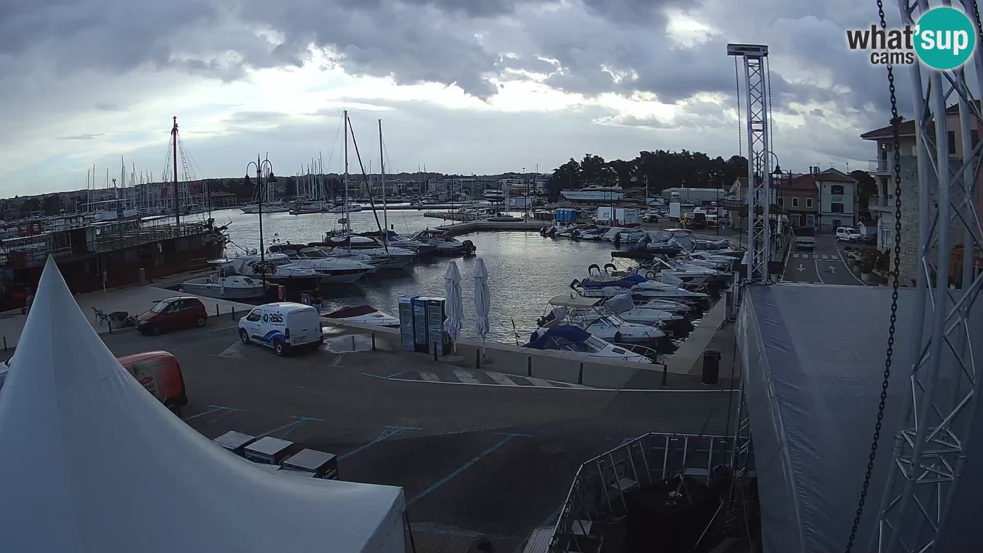 Novigrad | Porporela marina