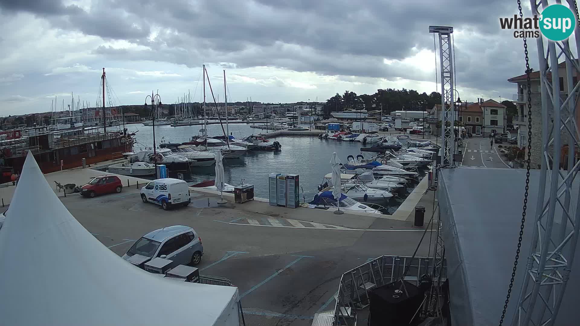 Novigrad | Porporela marina