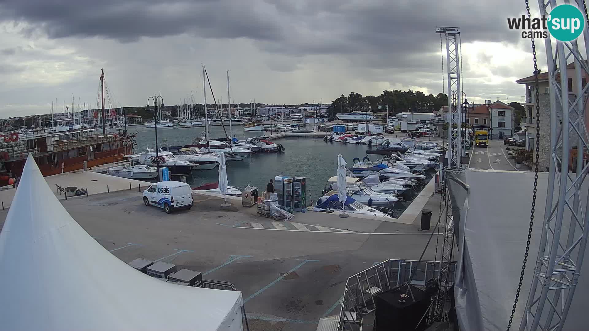 Novigrad | Porporela marina