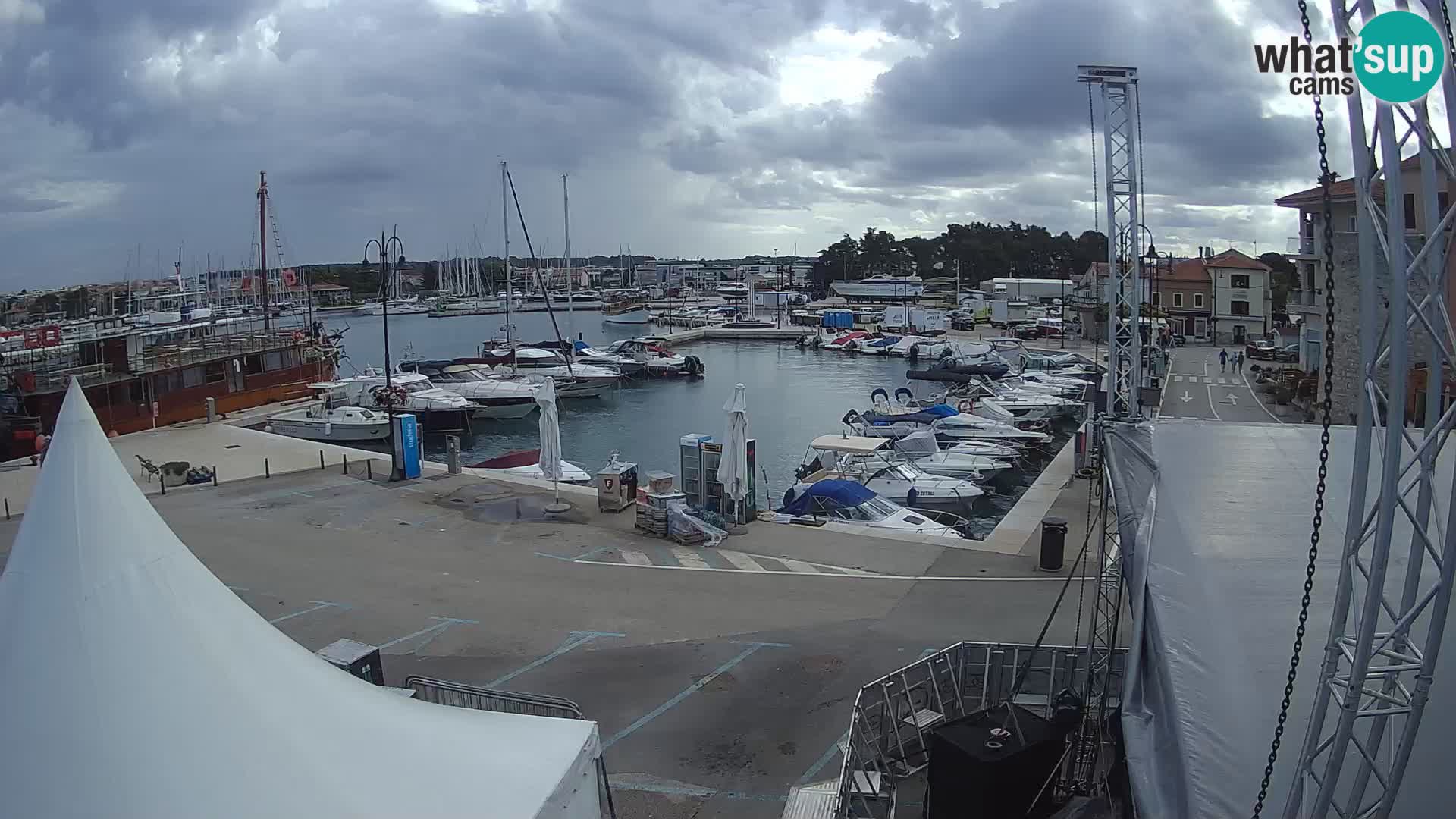 Novigrad | Porporela marina