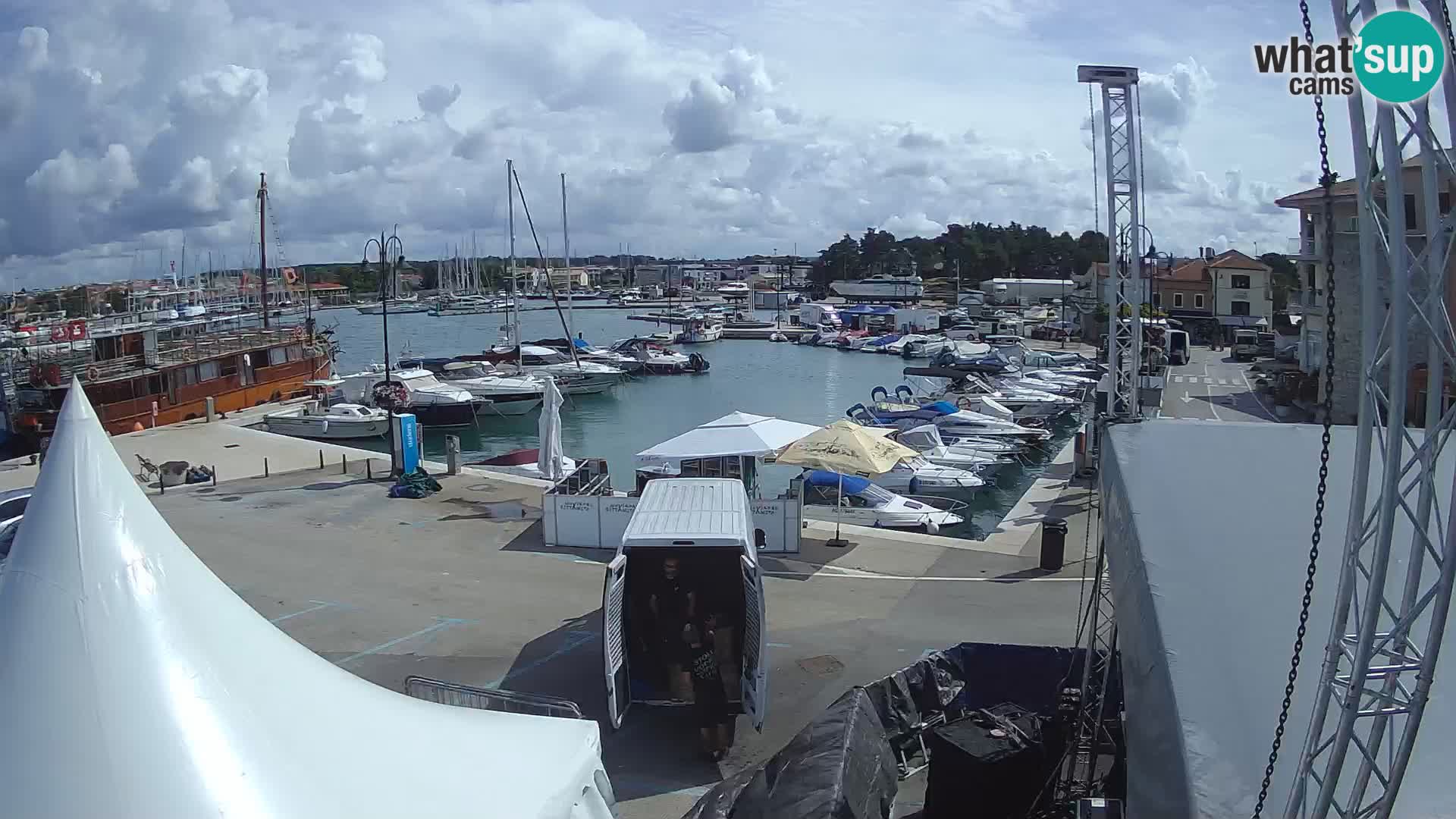 Novigrad | Porporela marina