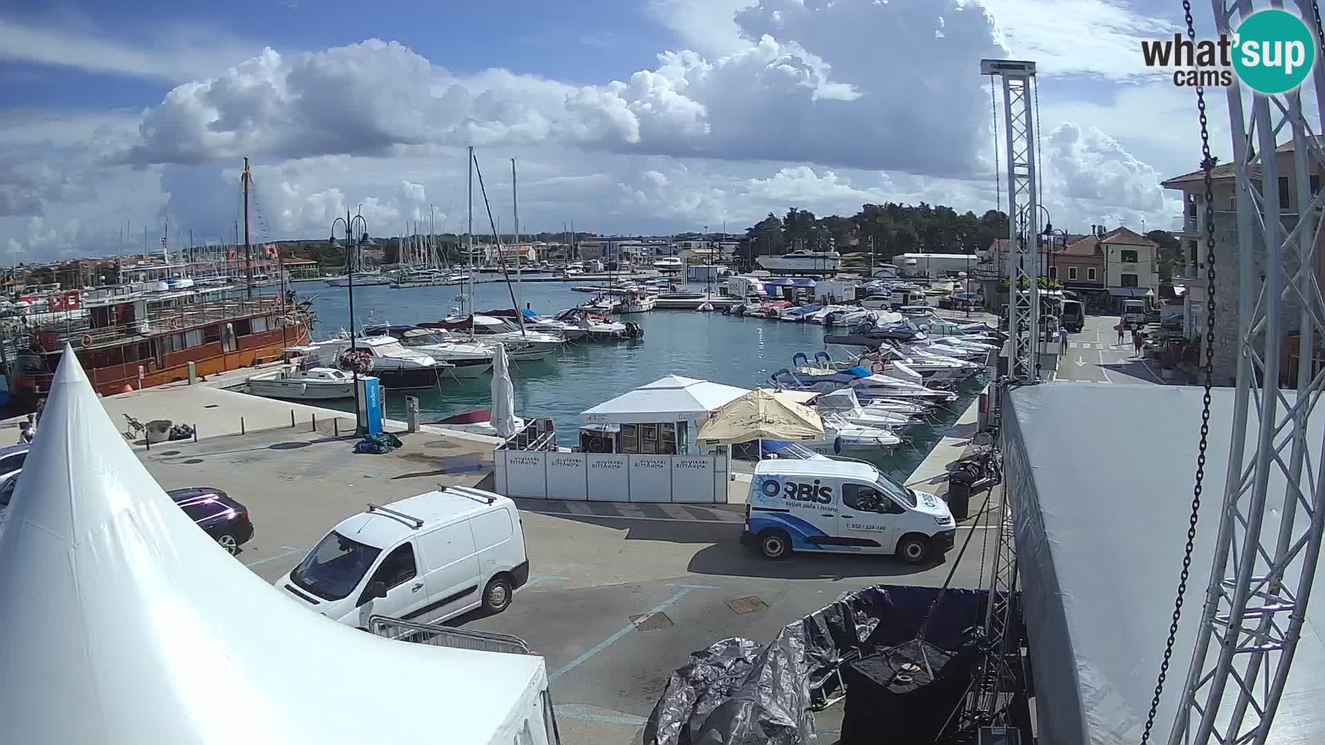 Novigrad | Porporela marina