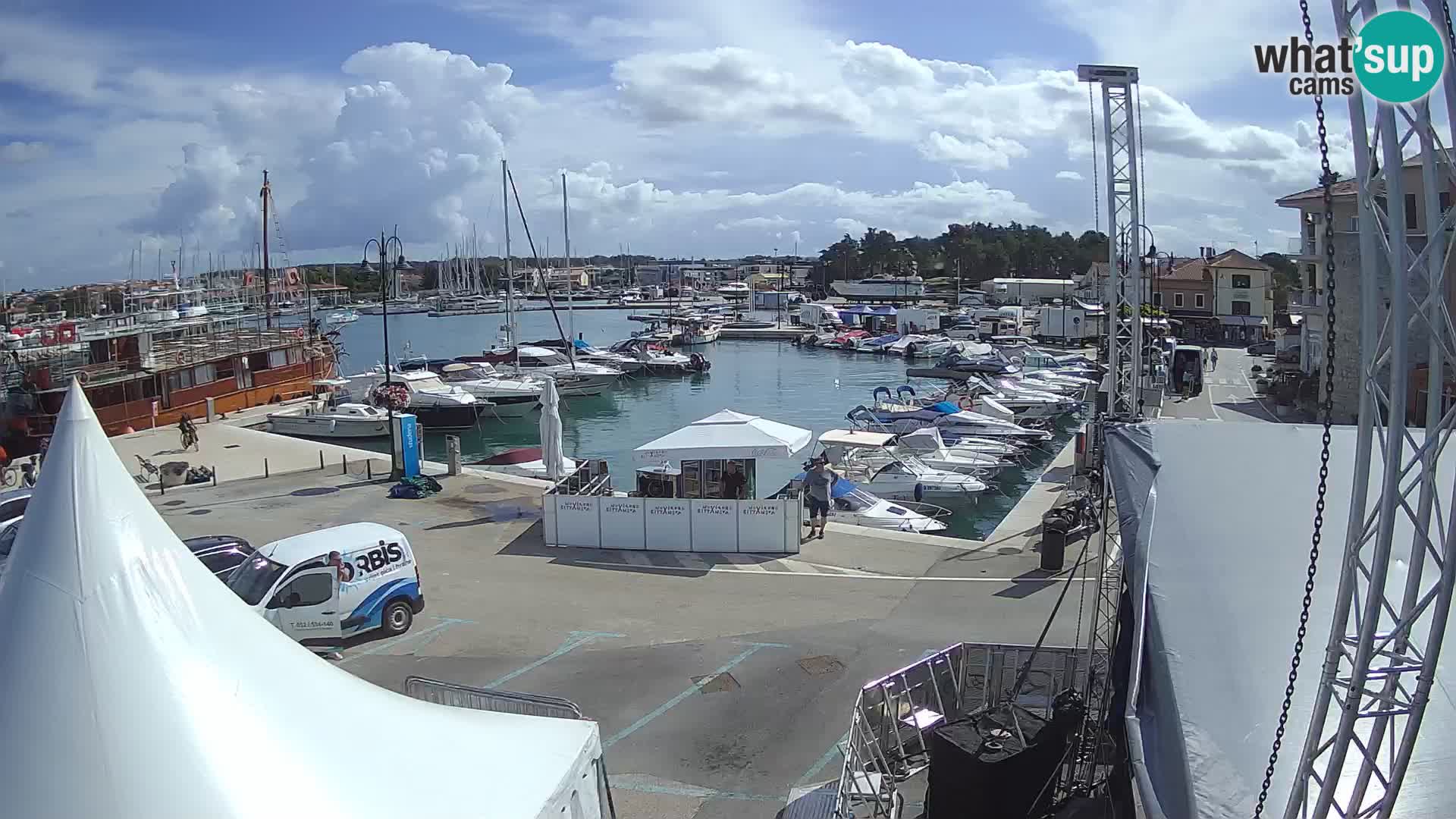 Novigrad | Porporela marina