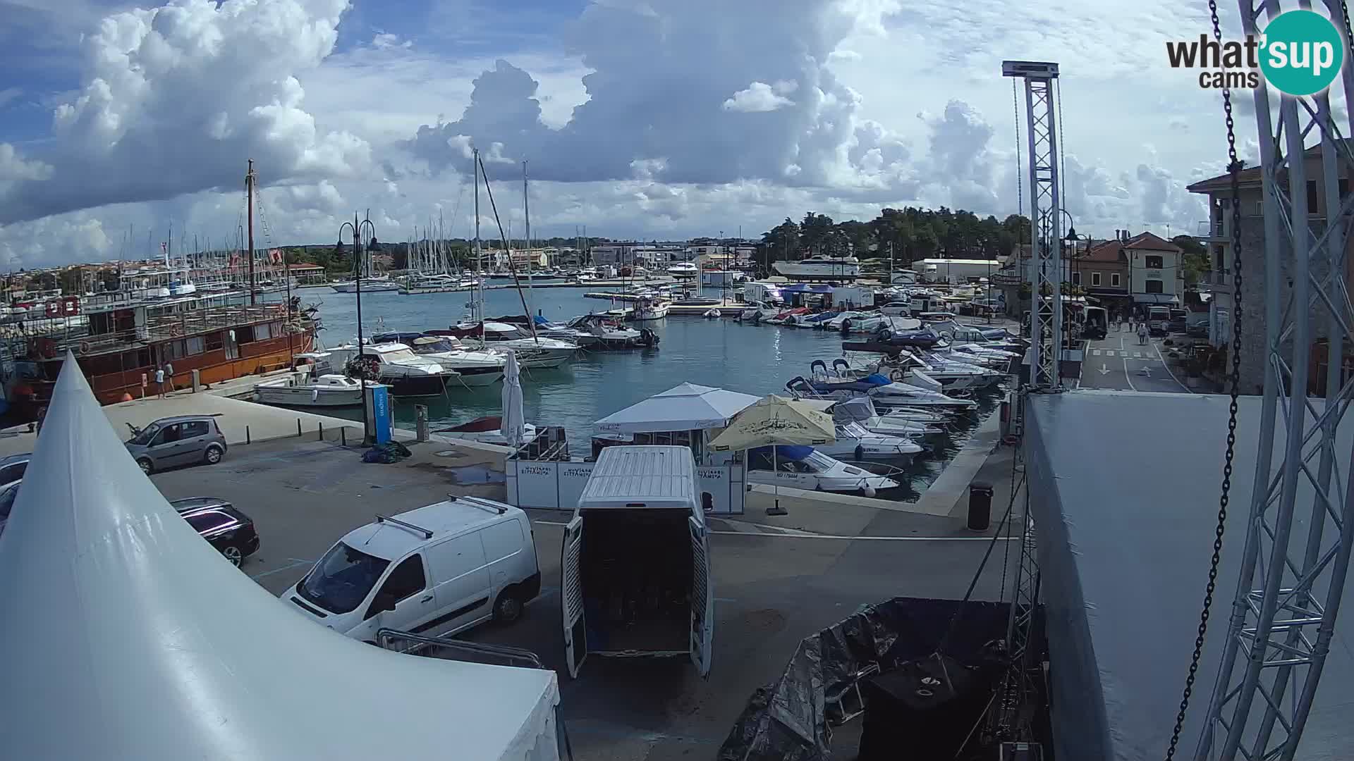 Novigrad | Porporela marina
