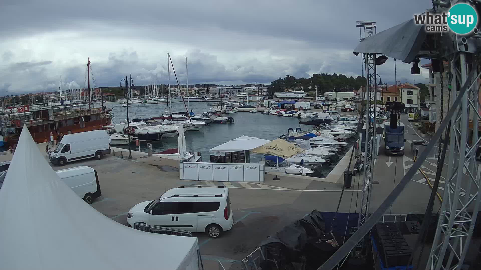 Novigrad | Porporela marina