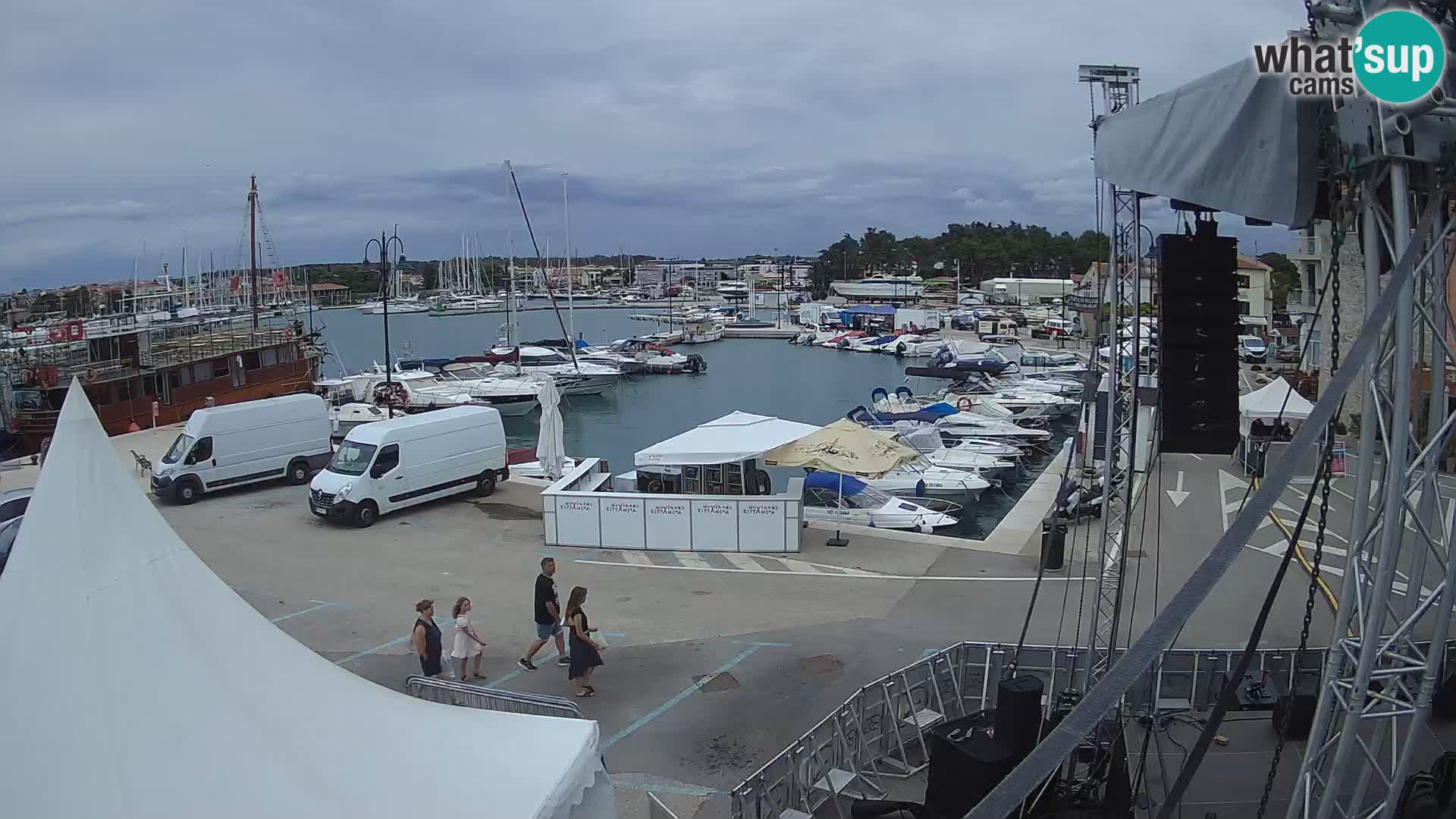 Novigrad | Porporela marina