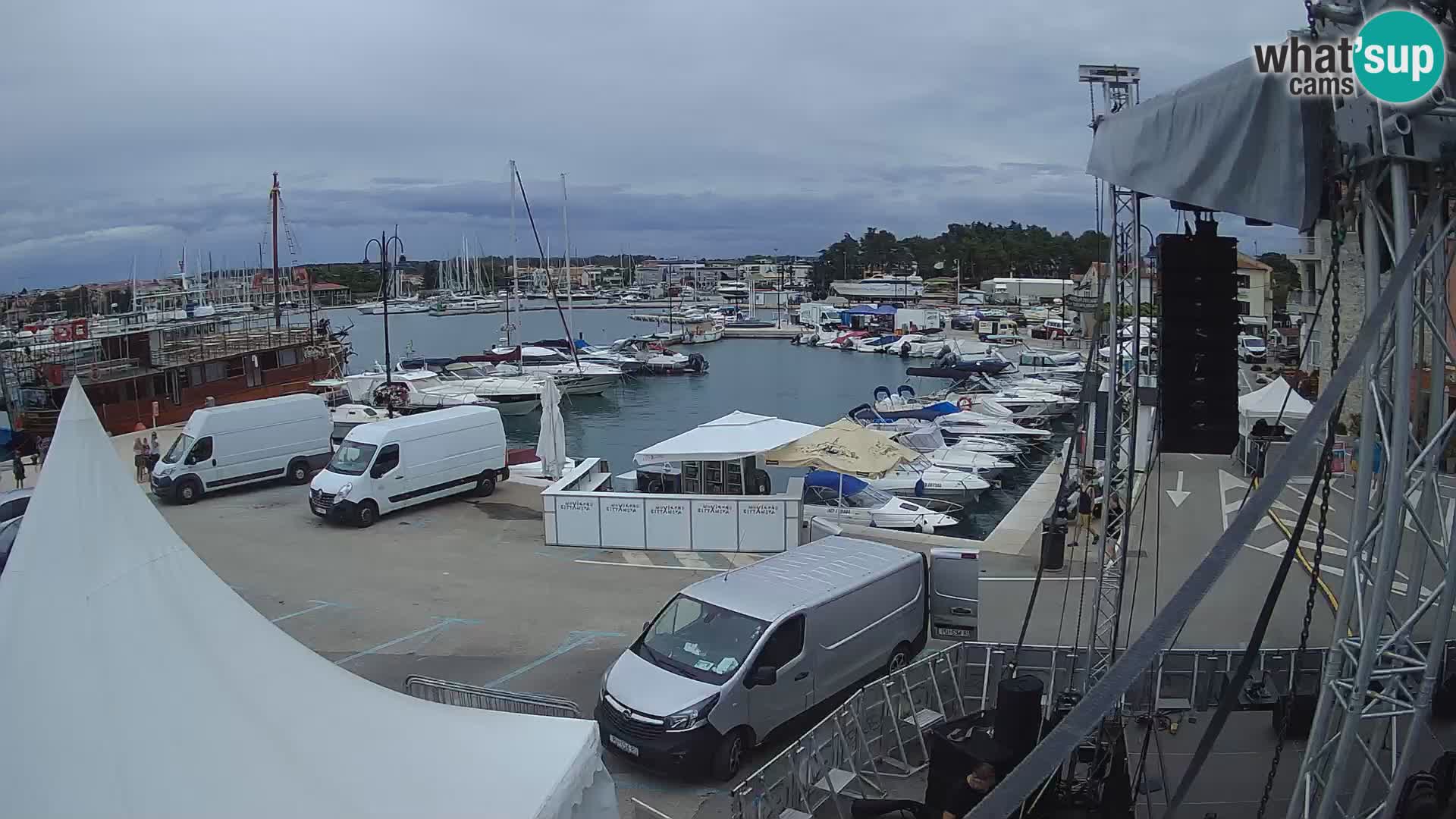 Novigrad | Porporela marina