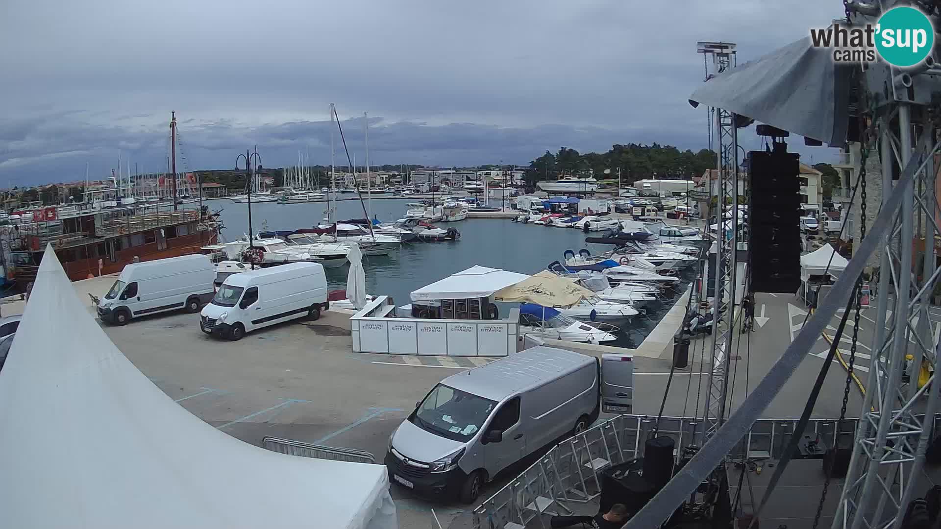 Novigrad | Porporela marina