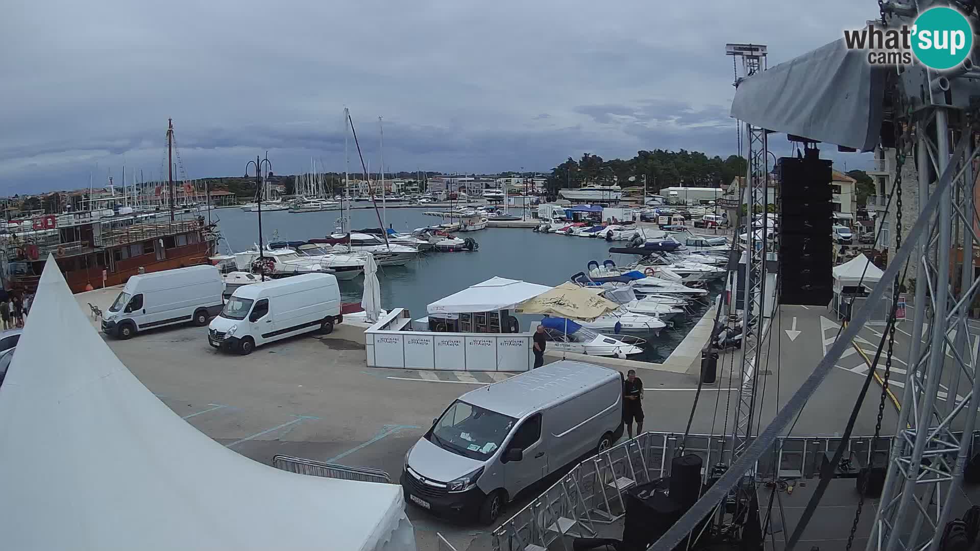 Novigrad | Porporela marina