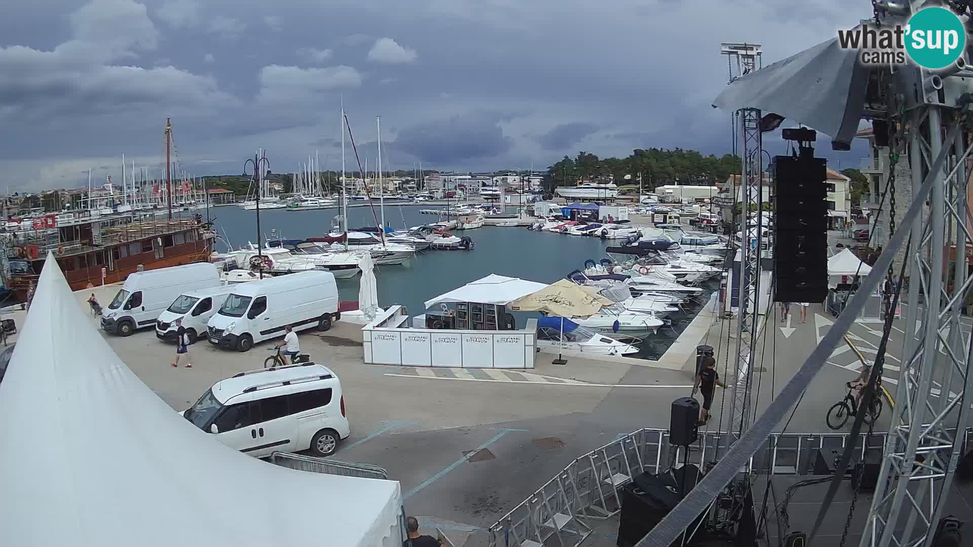 Novigrad | Porporela marina