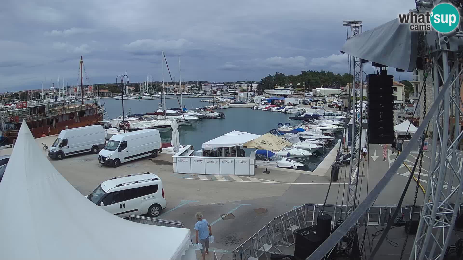 Novigrad | Porporela marina