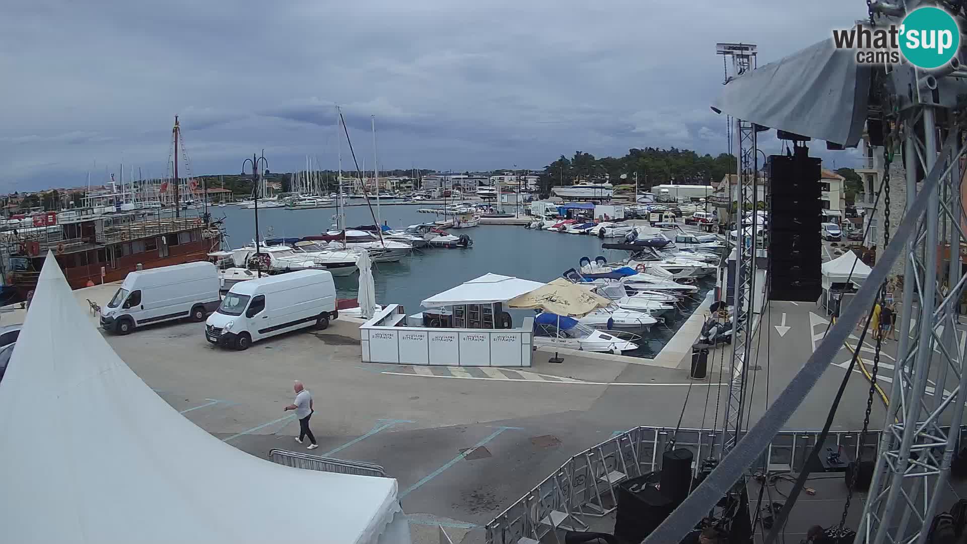 Novigrad | Porporela marina