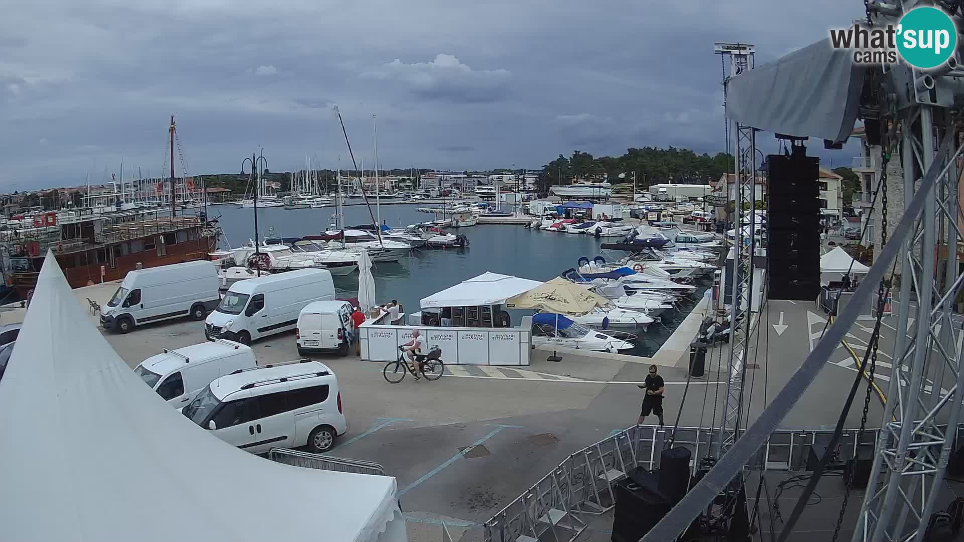 Novigrad | Porporela marina