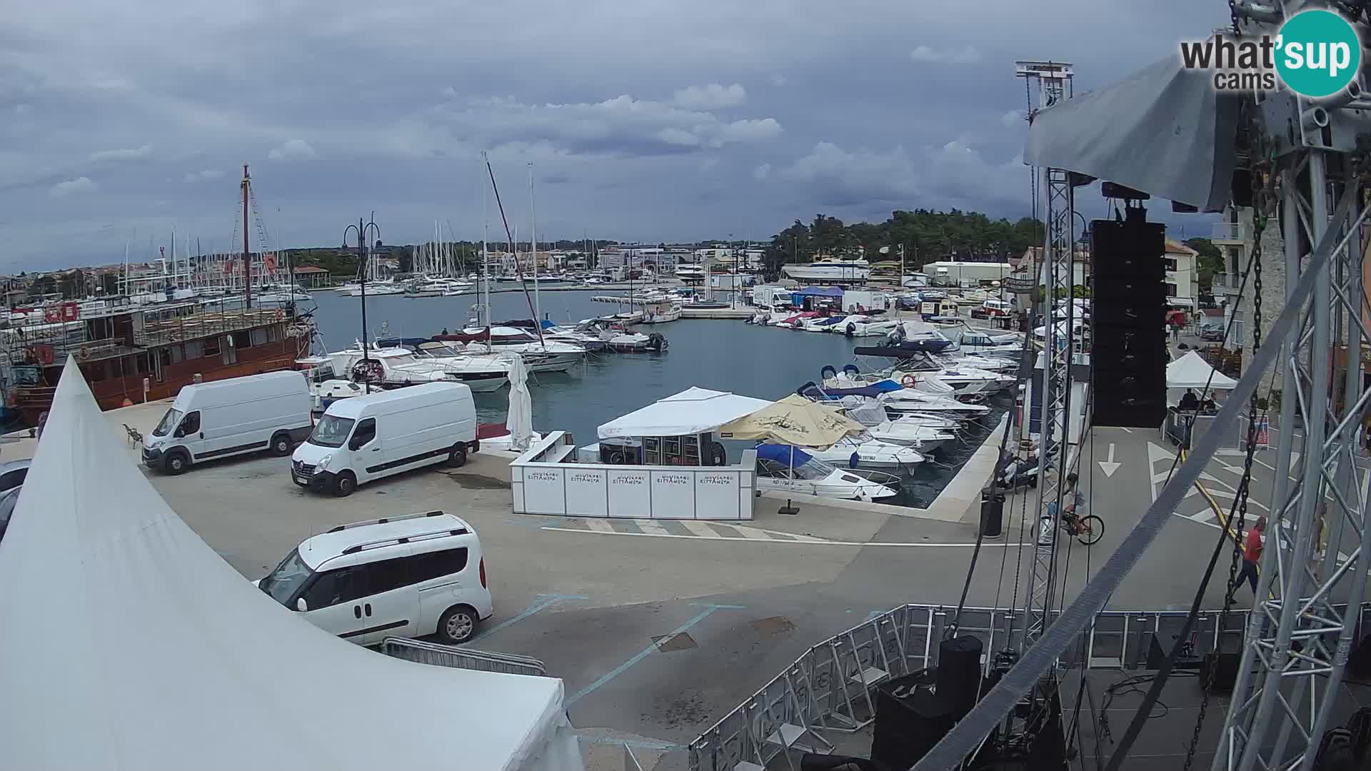 Novigrad | Porporela marina