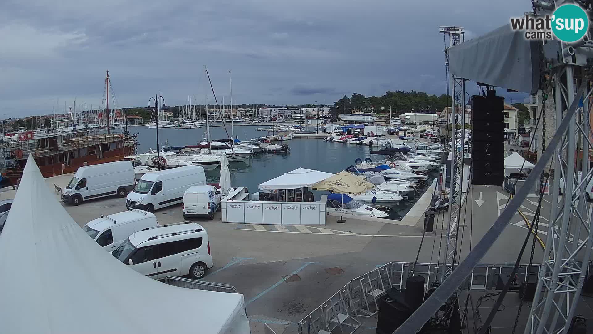 Novigrad | Porporela marina