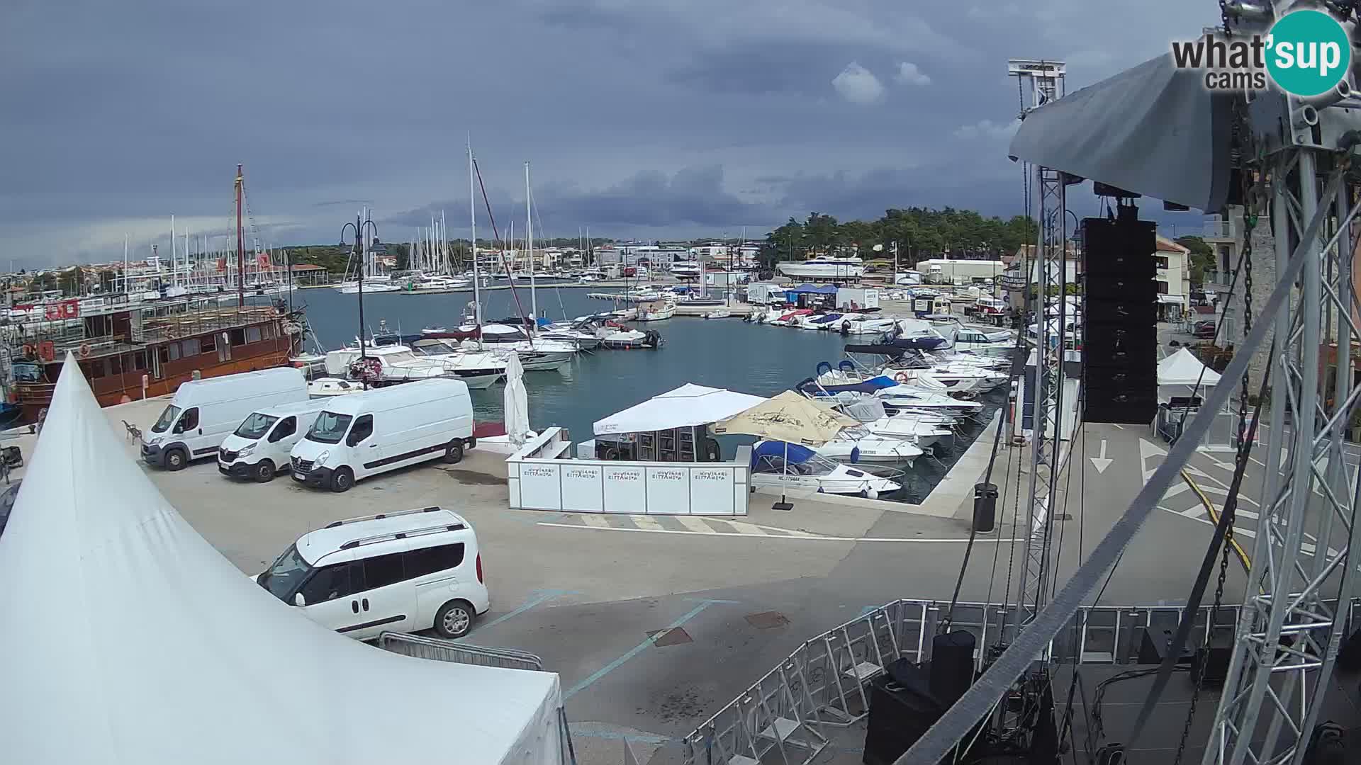 Novigrad | Porporela marina