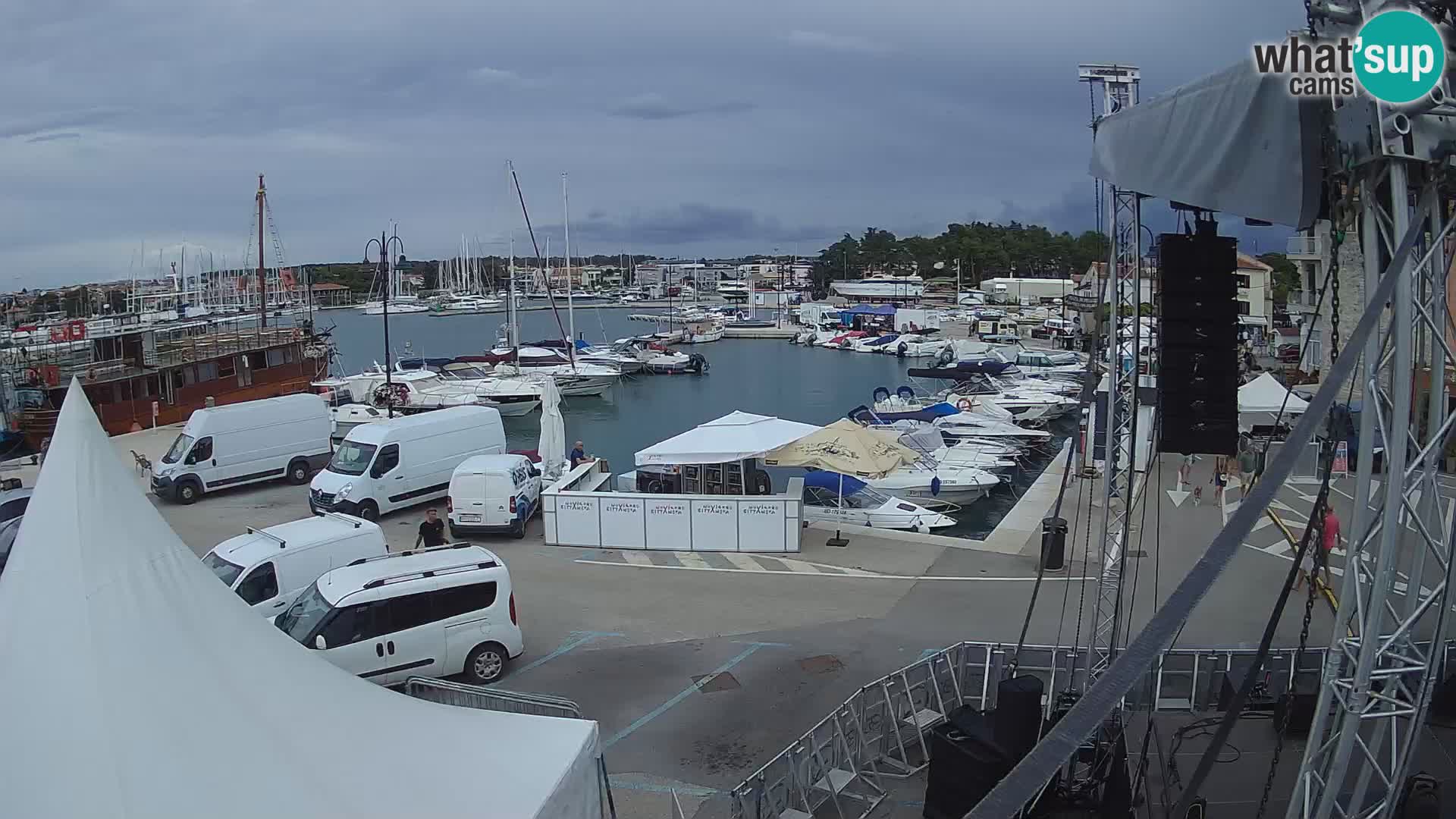 Novigrad | Porporela marina