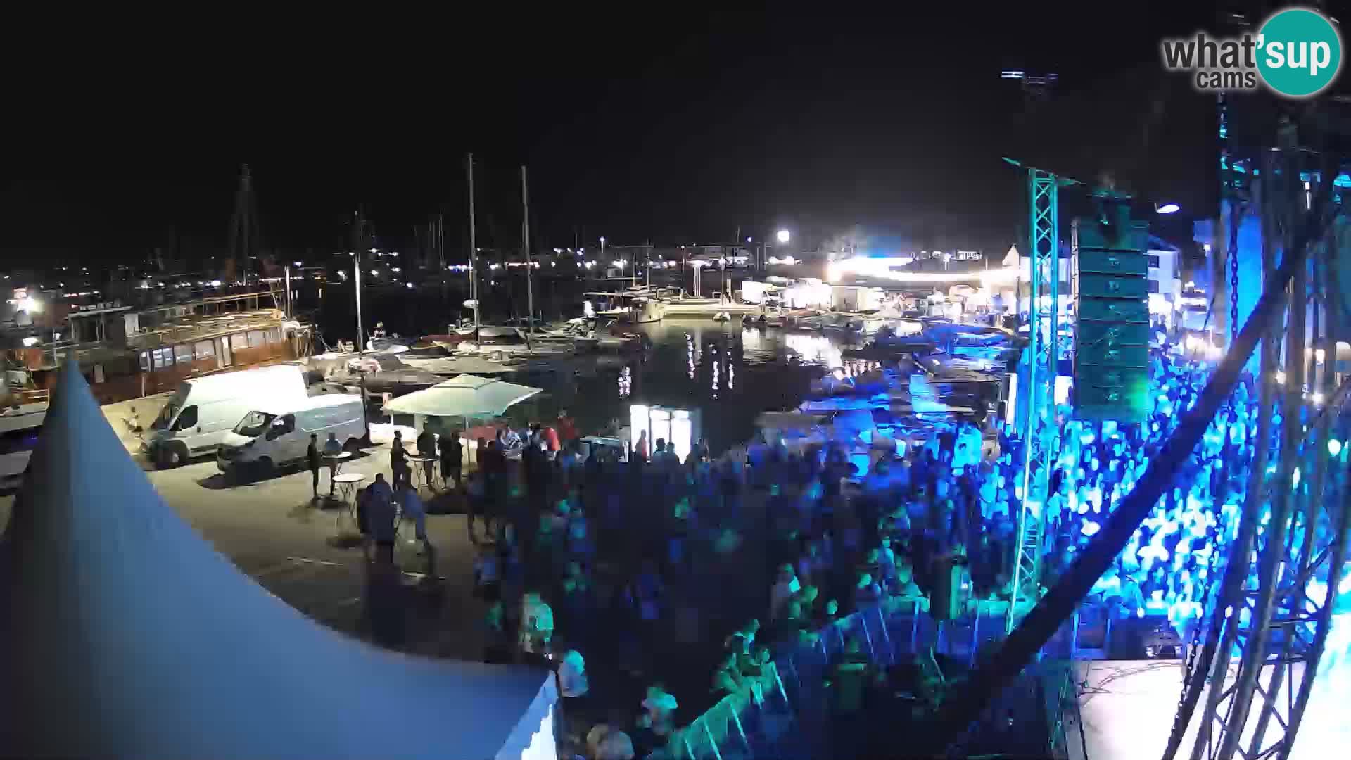 Novigrad | Porporela marina