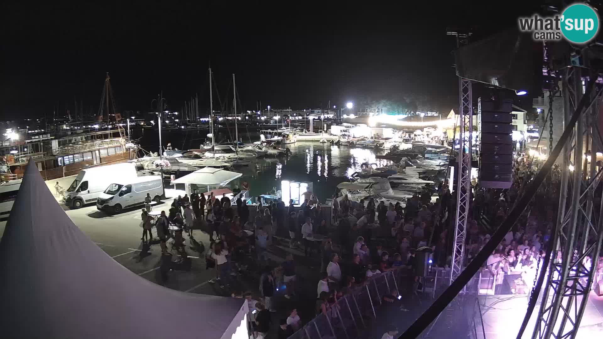 Novigrad | Porporela marina