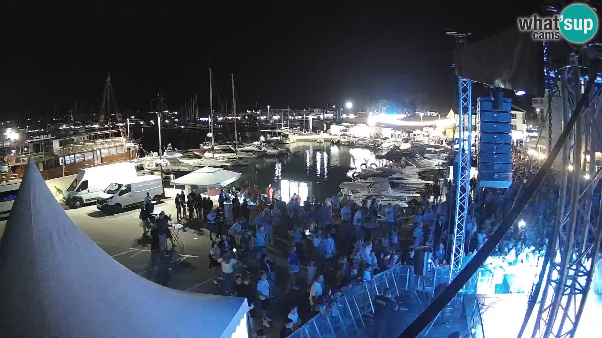 Novigrad | Porporela marina